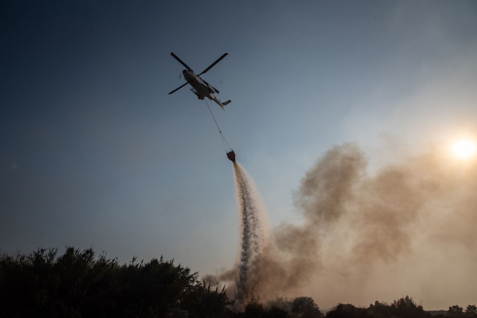 El incendio de Lucena del Puerto en imágenes