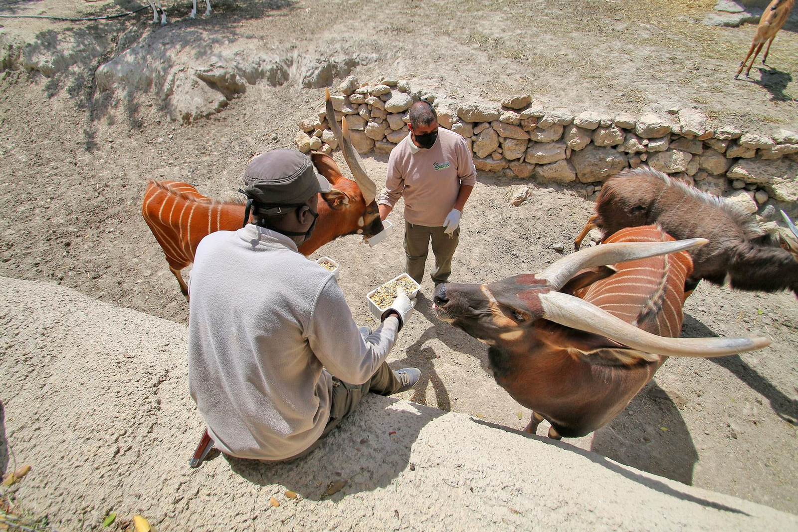 Fotogalería del Oasys Mini Hollywood sin actividad durante el coronavirus
