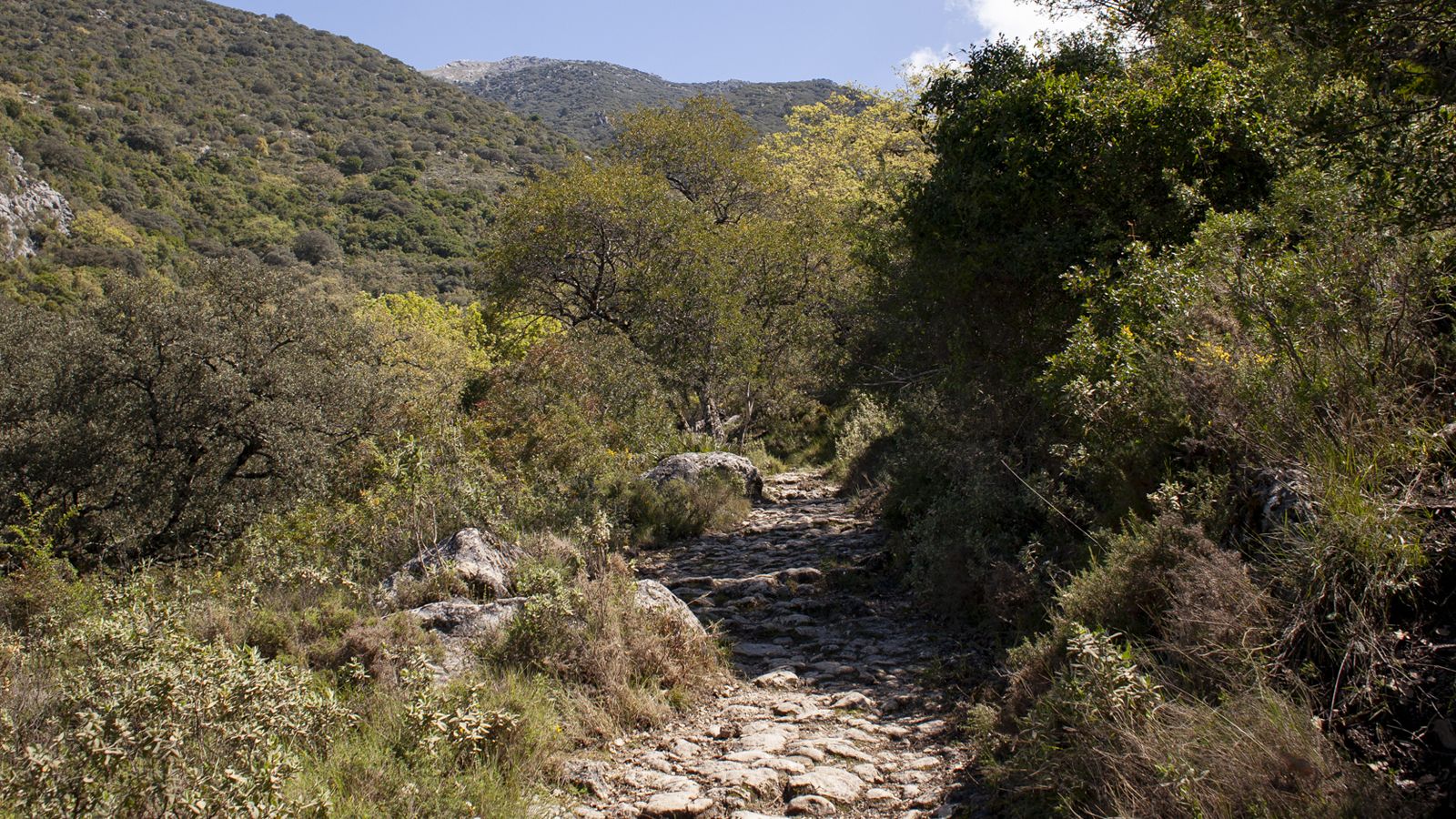 Ruta Atalaya de los Cochinos