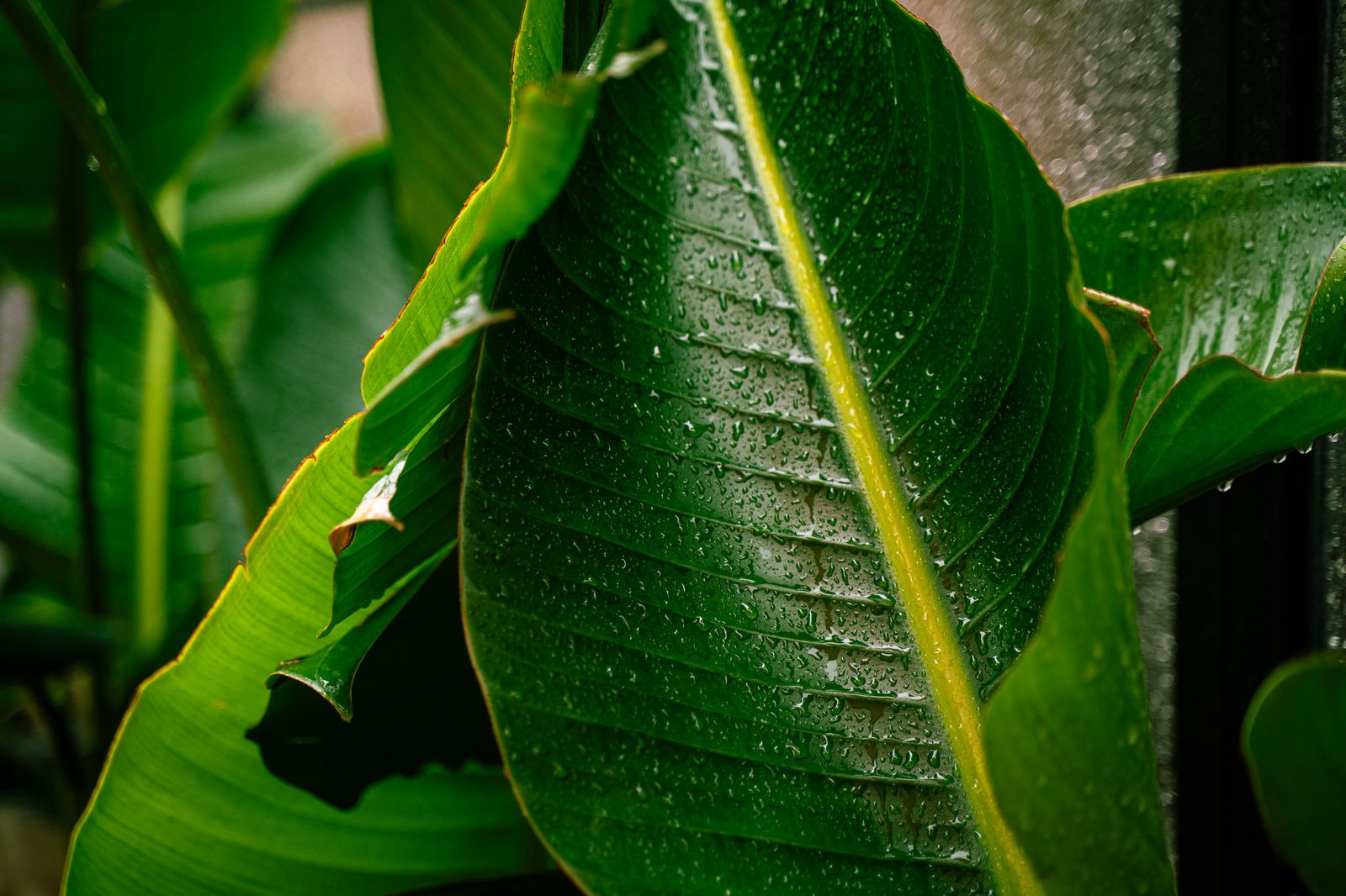 Las imágenes más destacadas del miércoles 30 de abril en Huelva