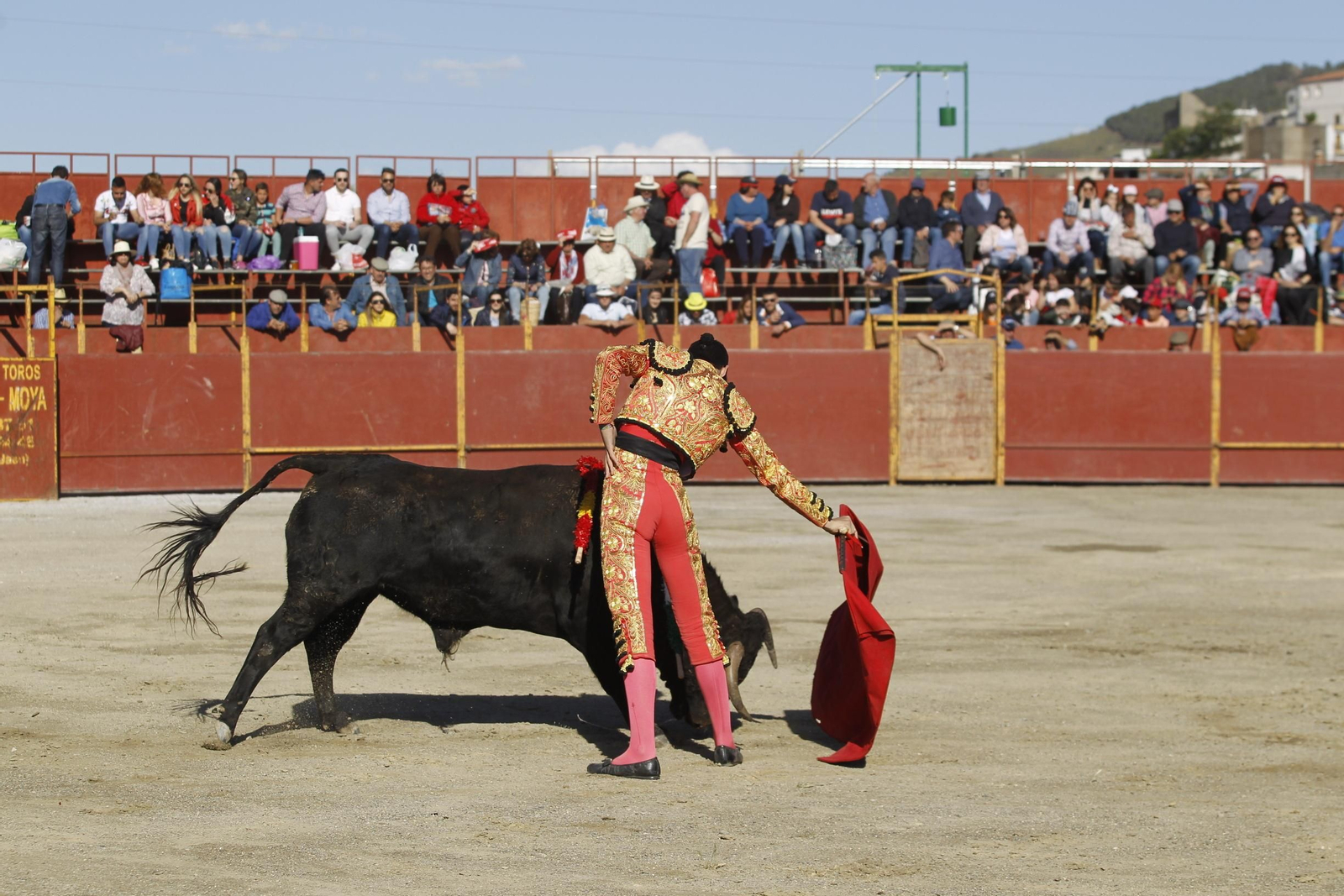 Fotogalería Novillada Fiestas de Abrucena