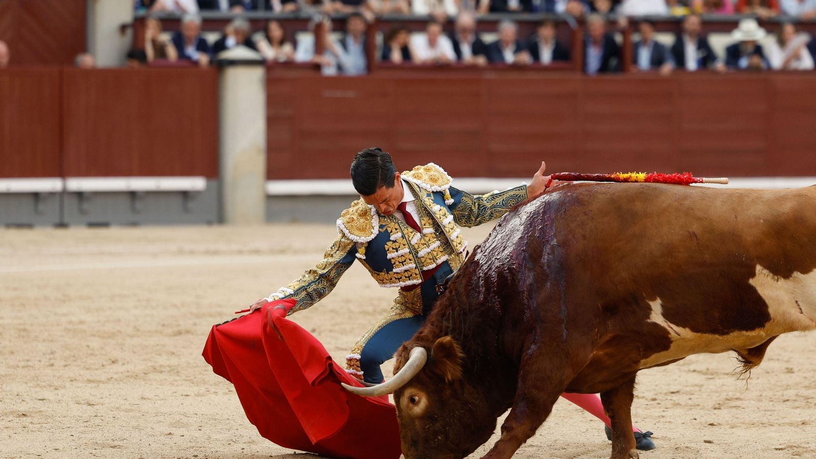 David Galván, muletazos en redondo flexionando la rodilla.