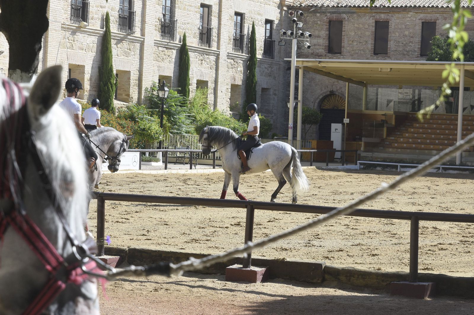 Jinetes en Caballerizas Reales.