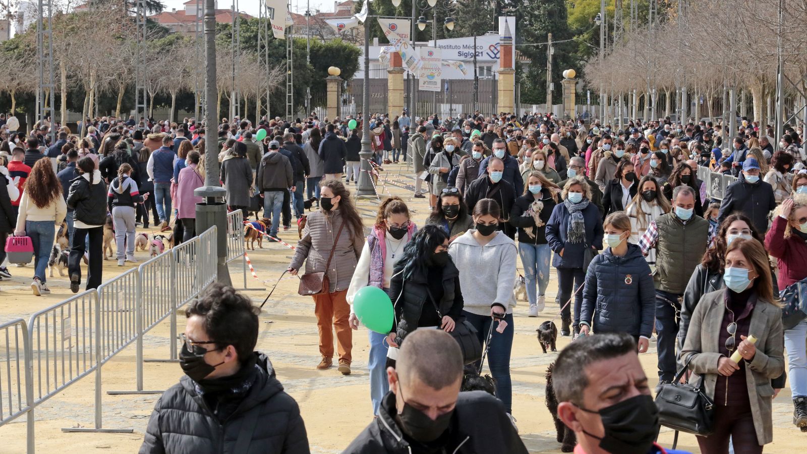 Imágenes de la 'Fiesta de San Antón 2022'