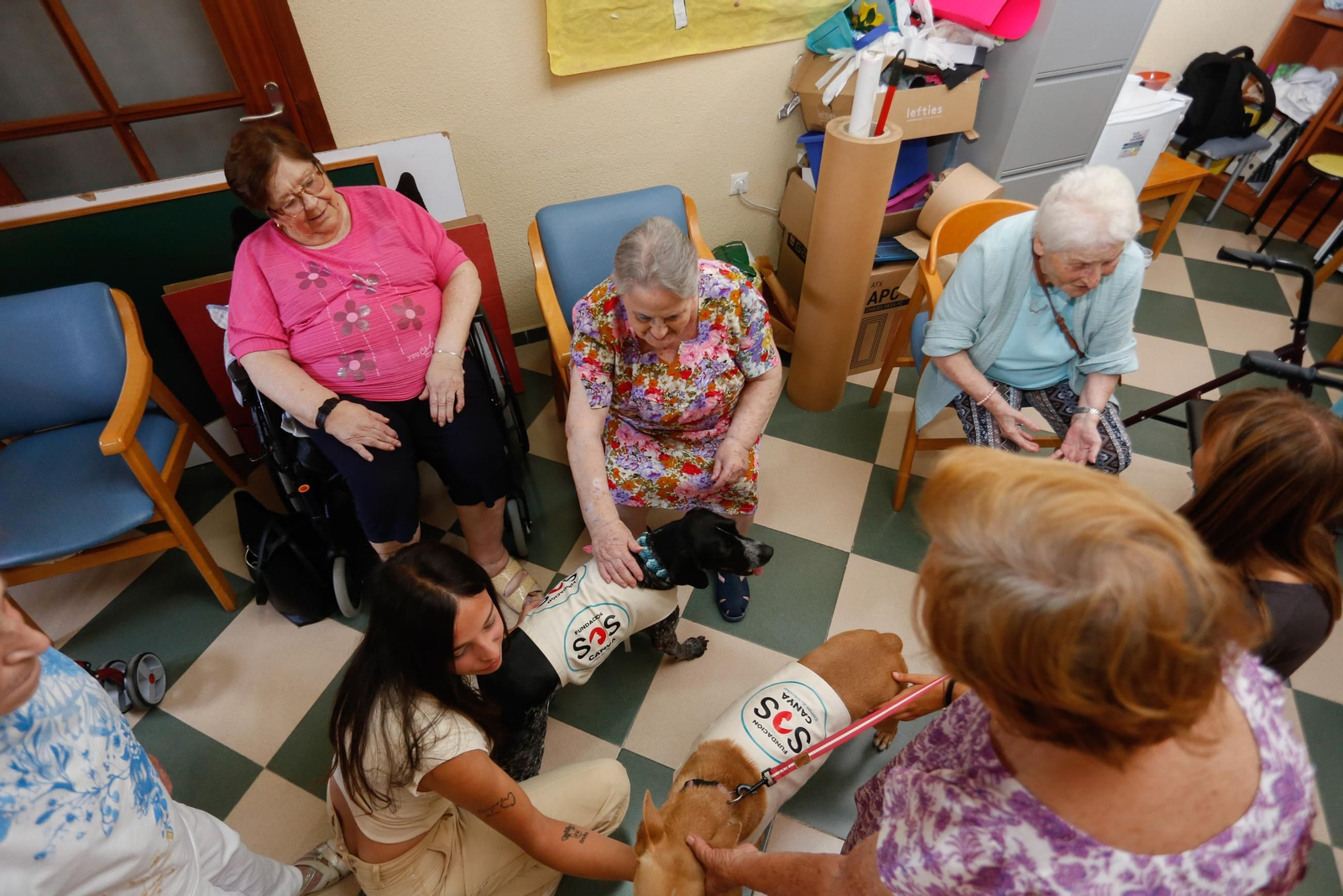 La visita de los perros de la protectora de Los Barrios a la residencia de mayores, en imágenes