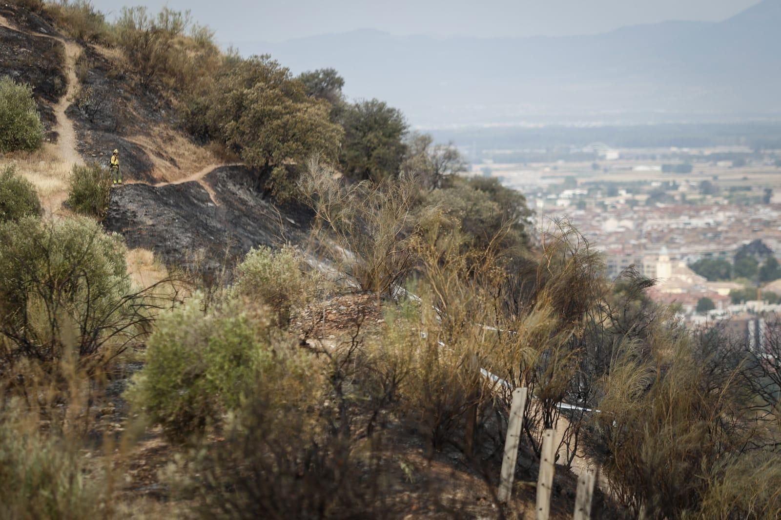 Las imágenes de la Fuente de la Bicha de Granada tras las llamas