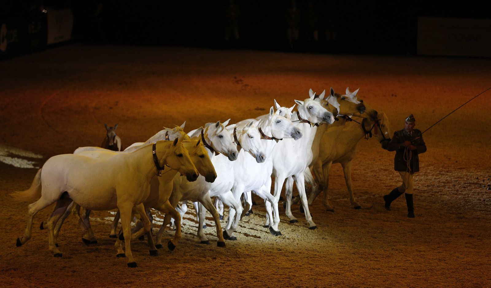 Inauguración de Sicab 2017