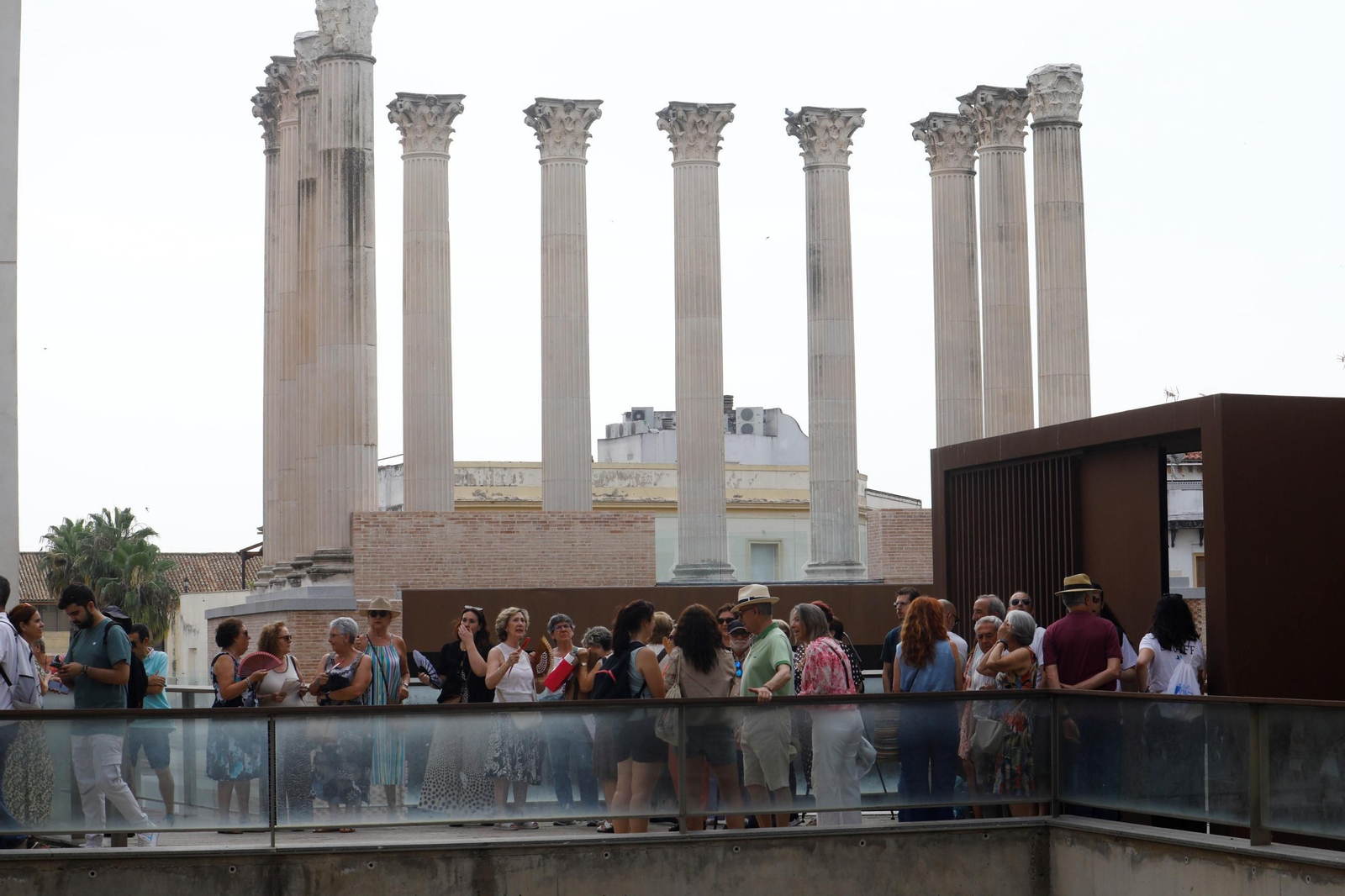 El primer día de visitas al Templo Romano, en imágenes