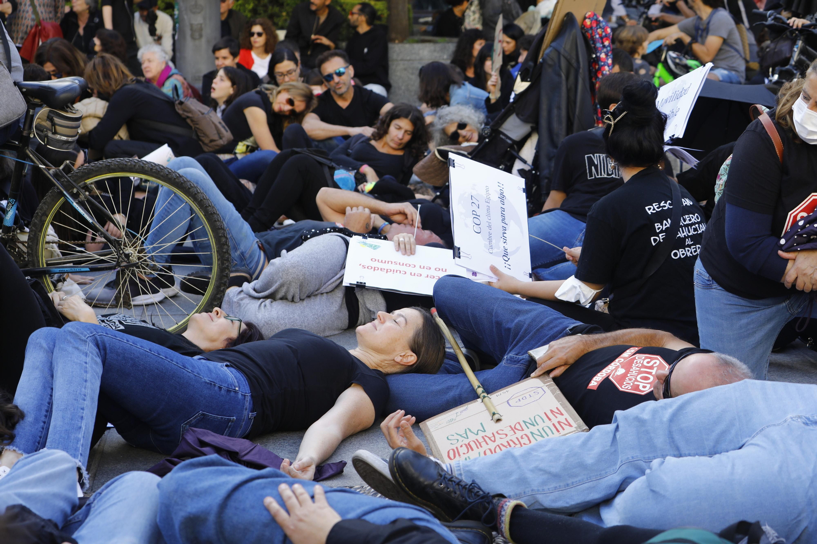 La manifestación por el clima en Córdoba, en imágenes