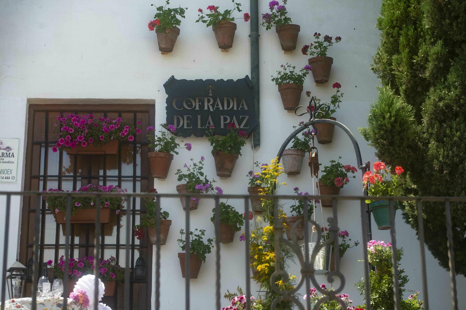 Las Cruces de Mayo de Córdoba, en imágenes
