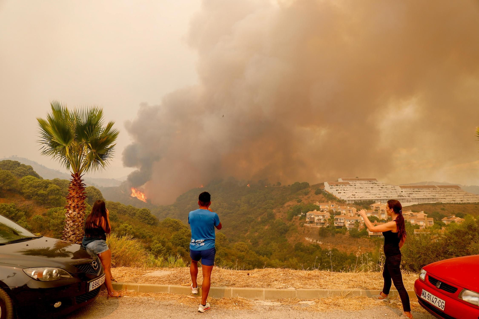 Las fotos del incendio forestal que afecta a Jubrique, Genalguacil y Estepona