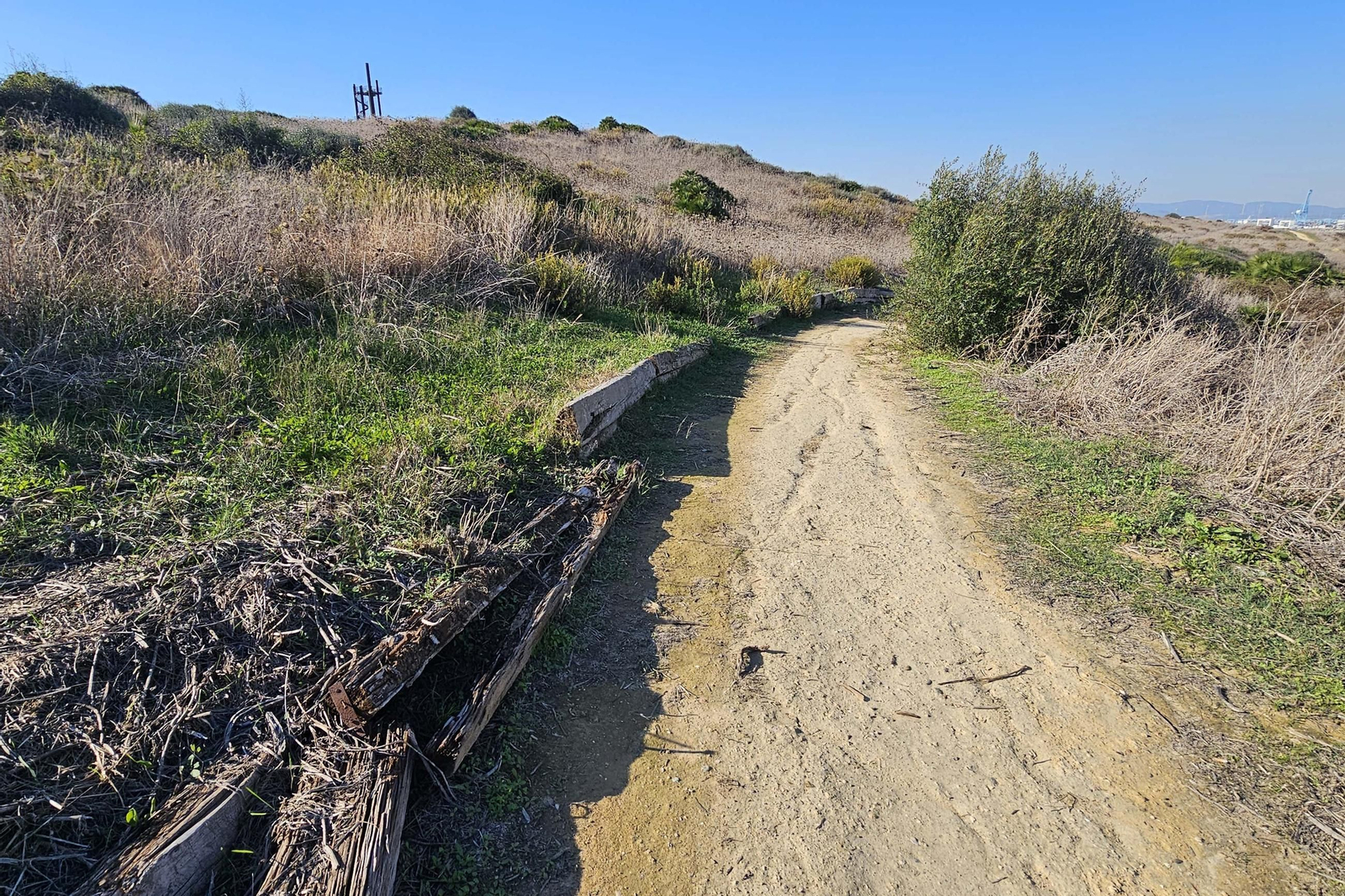 Fotografías del estado del Parque del Centenario de Algeciras