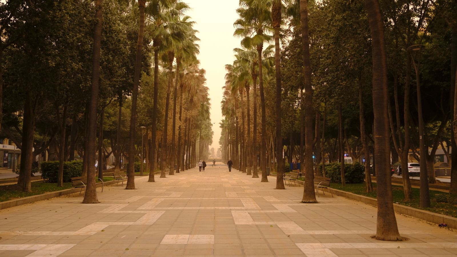Fotogalería de la tormenta de arena y polvo en Almería