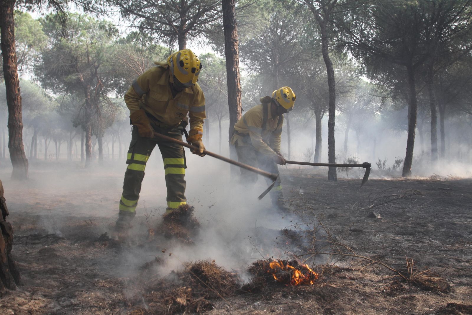Las imágenes del incendio en Moguer y Mazagón