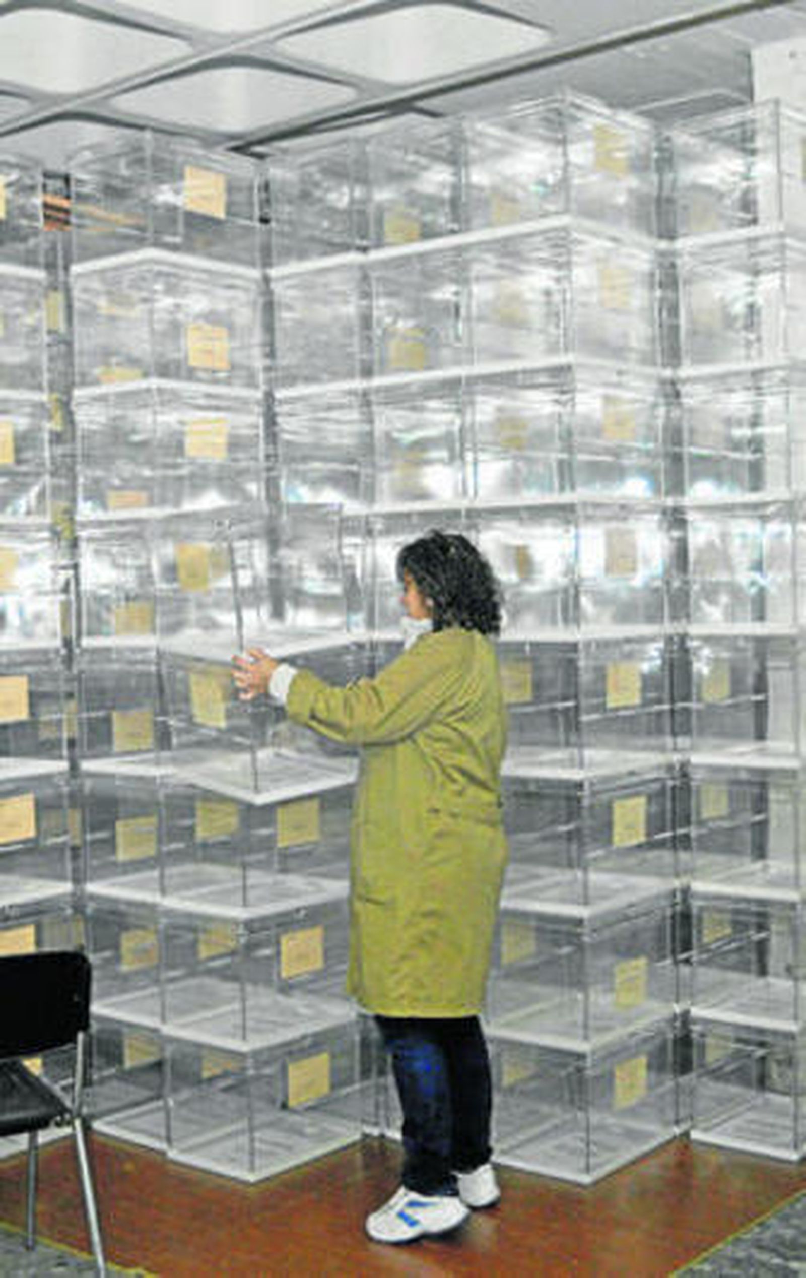 Los gaditanos volverán a ser llamados a las urnas dentro de 31 días.