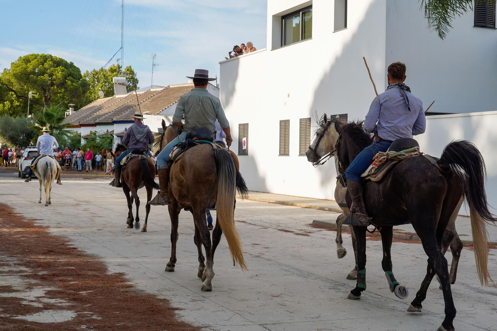 Las imágenes más destacas de la recogida de las yeguas en Hinojos