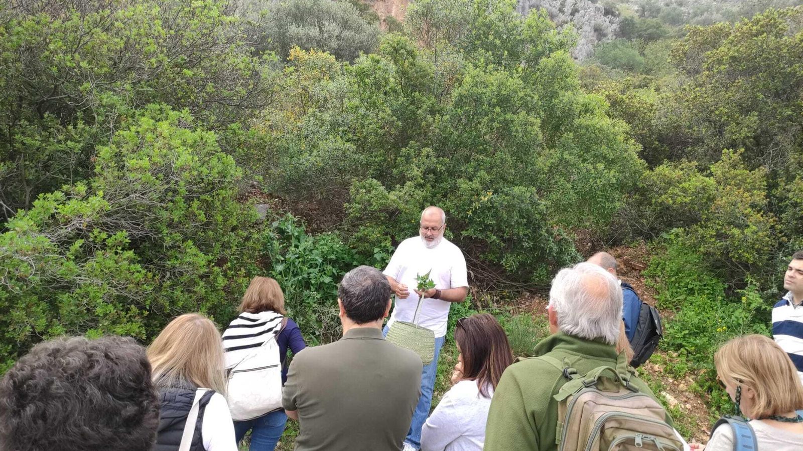 Rutas guiadas para conocer las especies del valle de Otíñar.