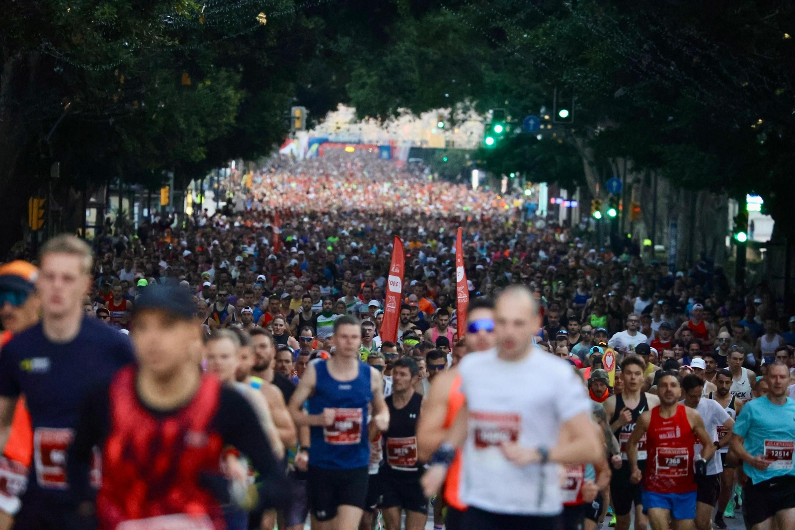 Las mejores fotos de la Maratón de Málaga 2024