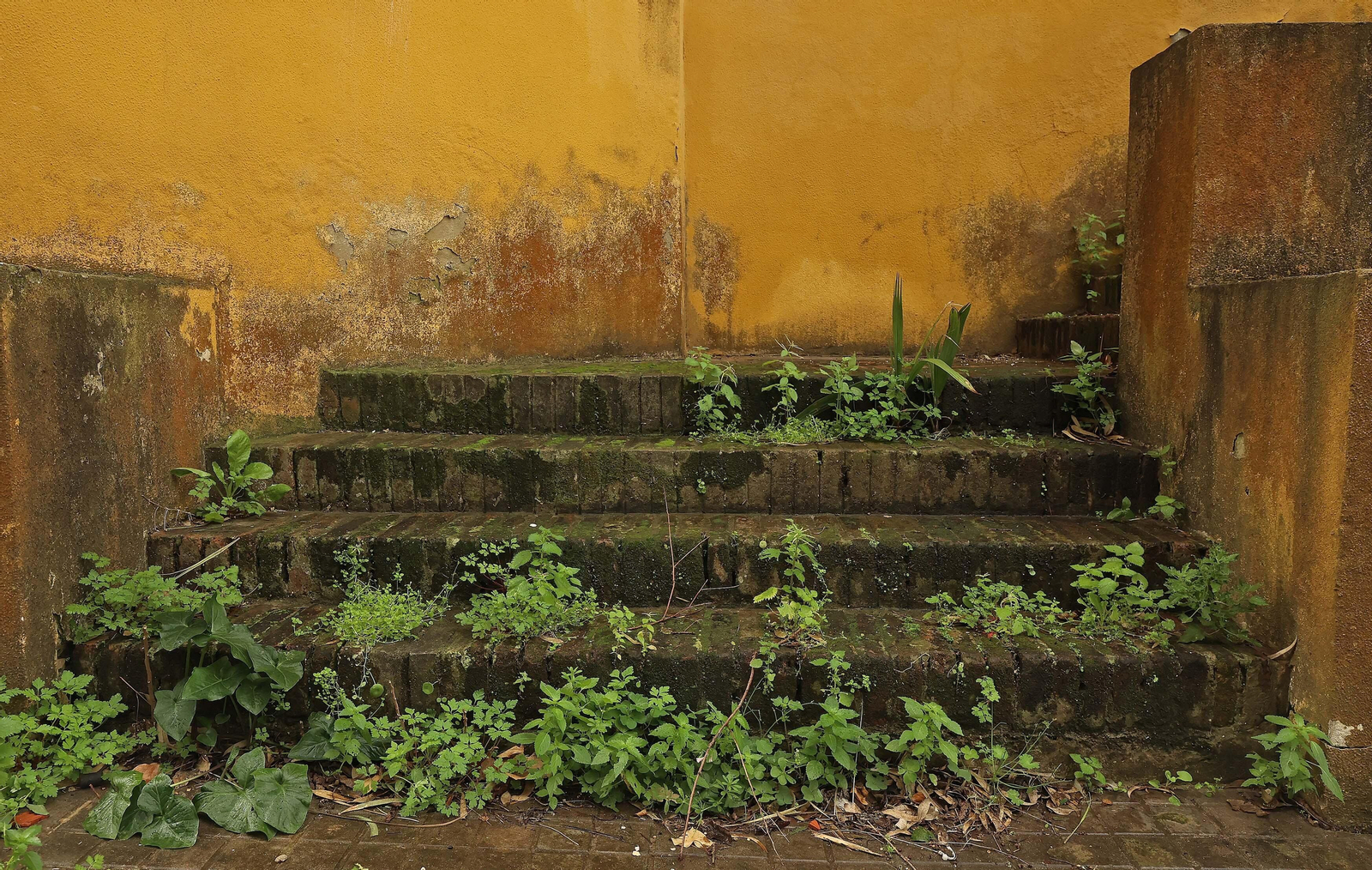 Fotos de las deficiencias en los juzgados del Palacio de Marzales de Algeciras