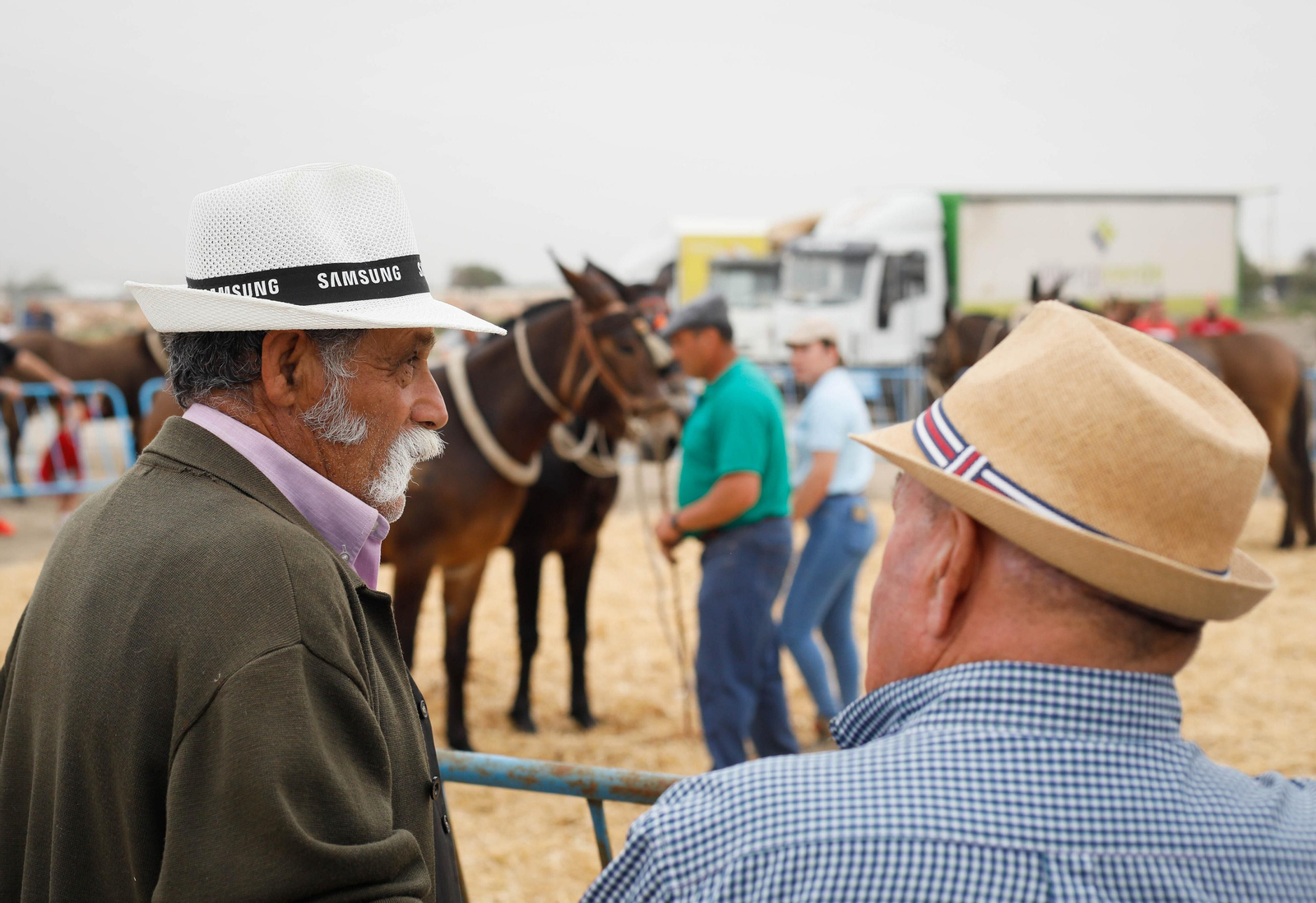 Galería de la Feria  de ganado en Tarambana
