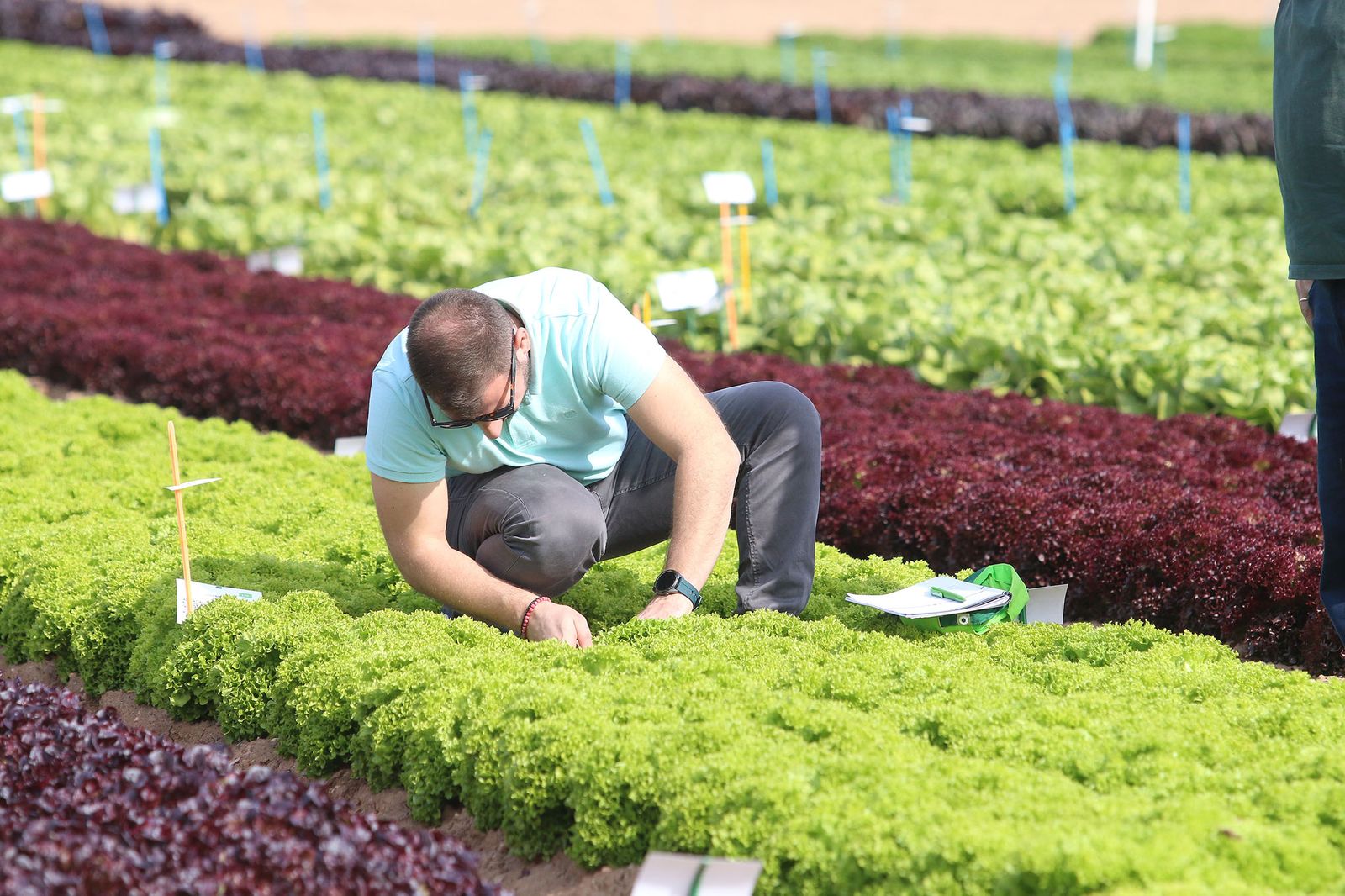 Traders y productores del mundo en el CED la Palma de la compañía.