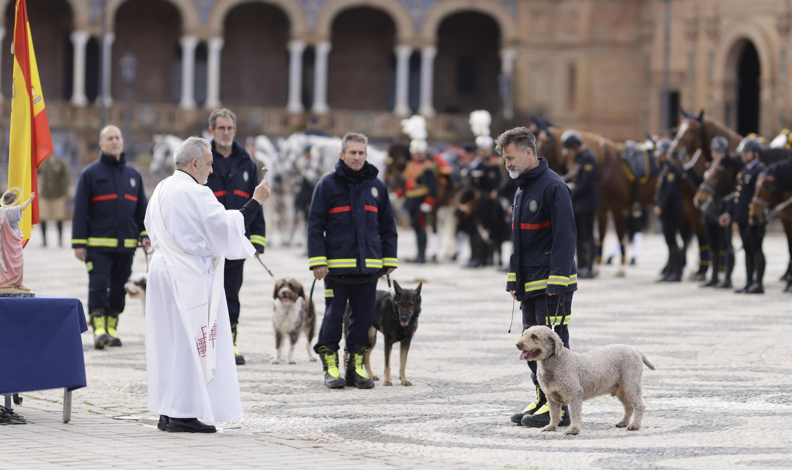 La bendición de  animales de la Policía Nacional con motivo de San Antón, en imágenes