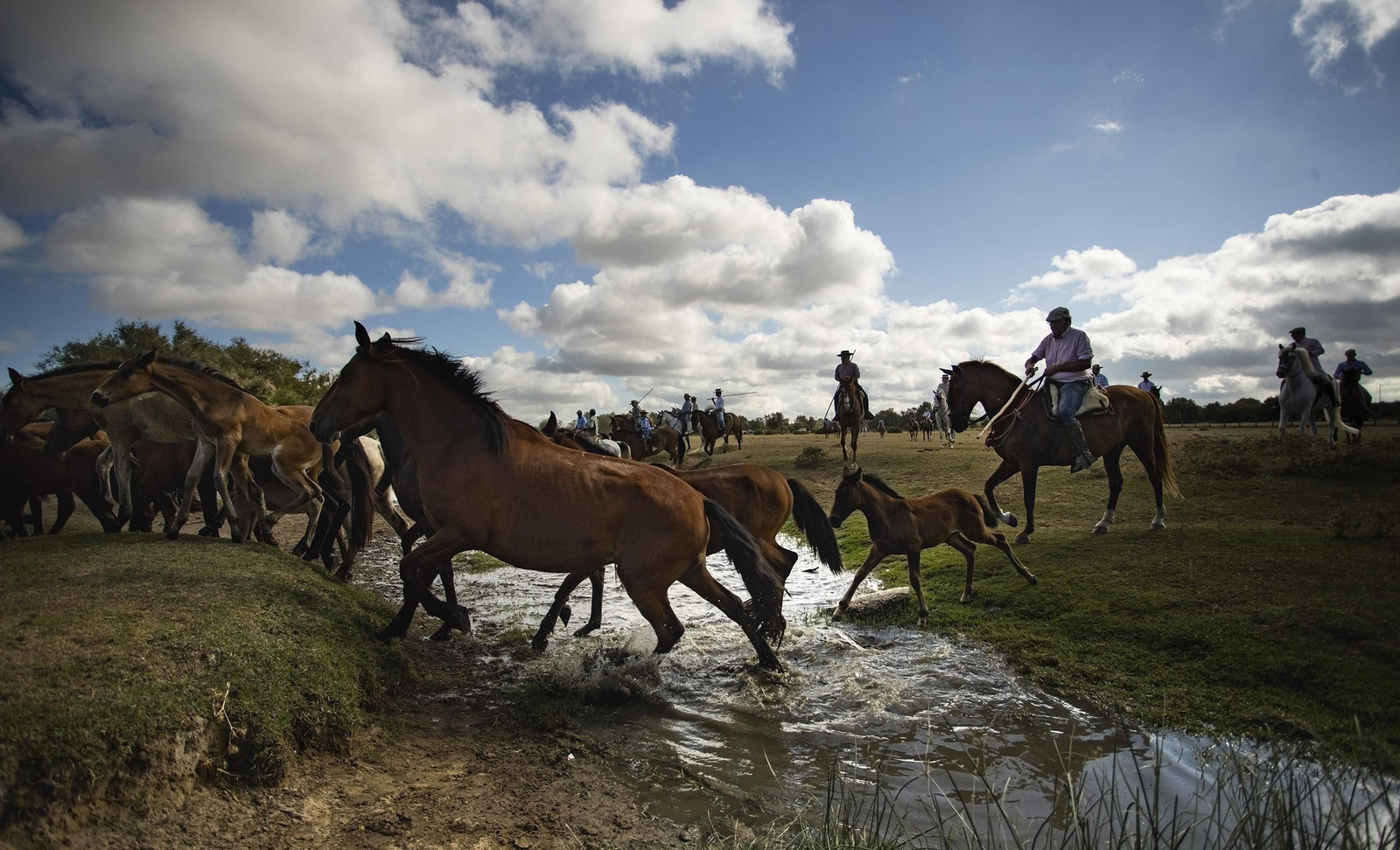 La Saca de las Yeguas, en imágenes