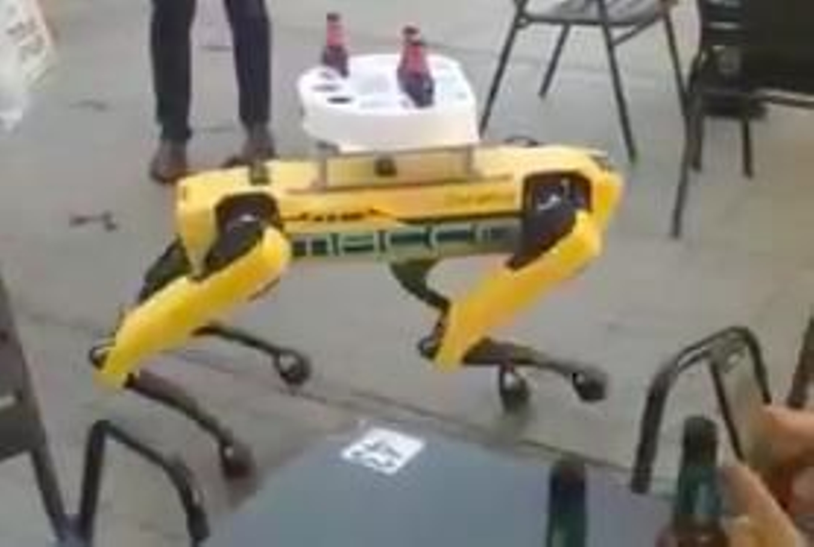 El 'perro robot', con la bandeja de botellines encima.
