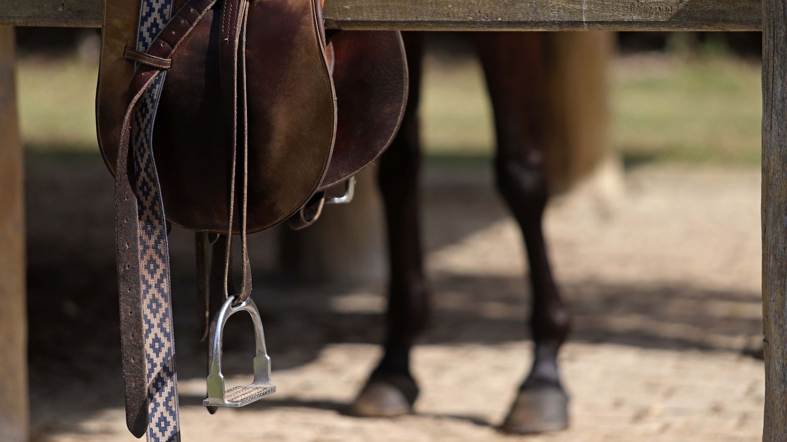 El polo desde dentro