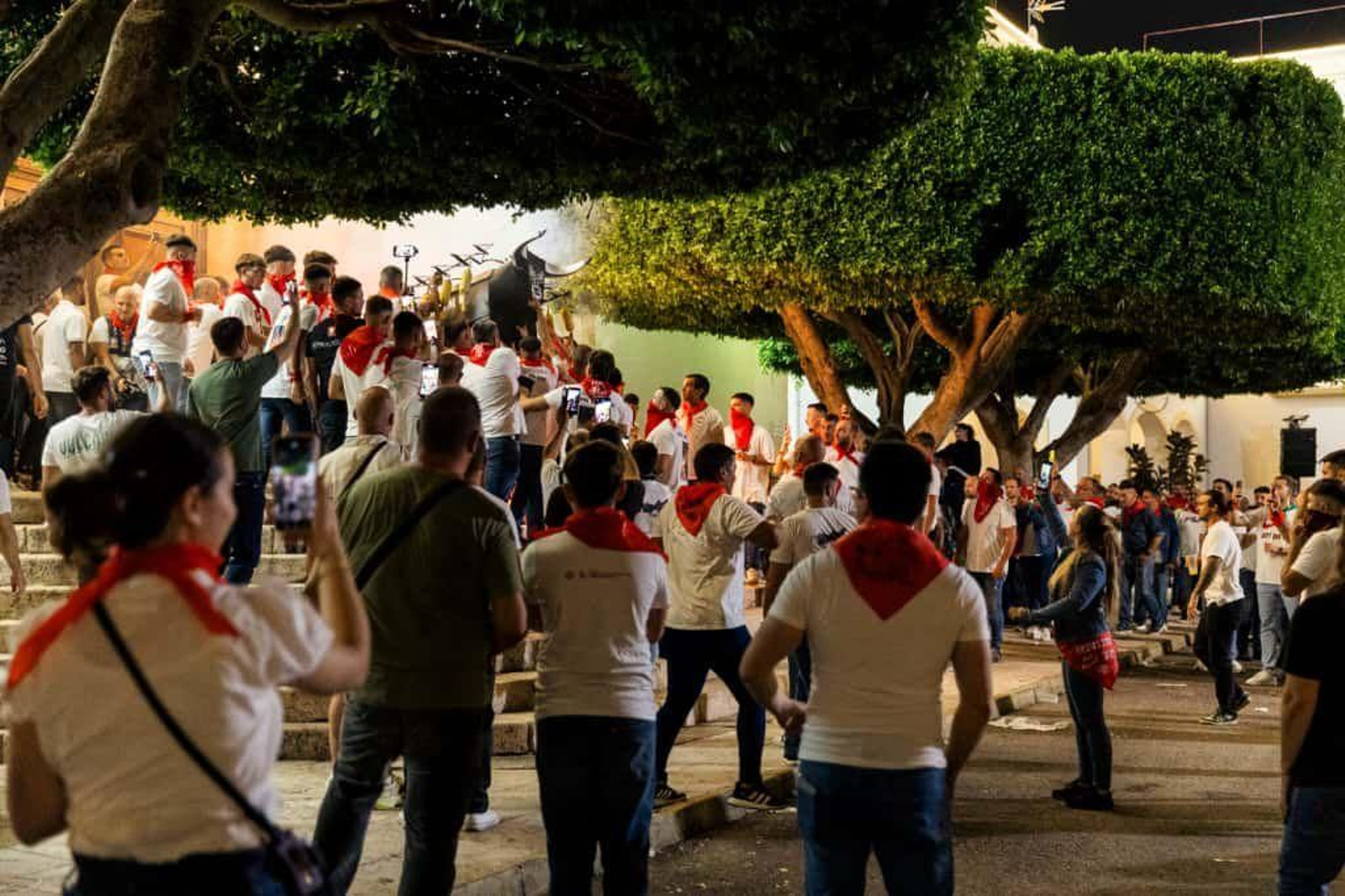 Así se han vividoi los Toros de Fuego por el Cristo de la Luz de Dalías
