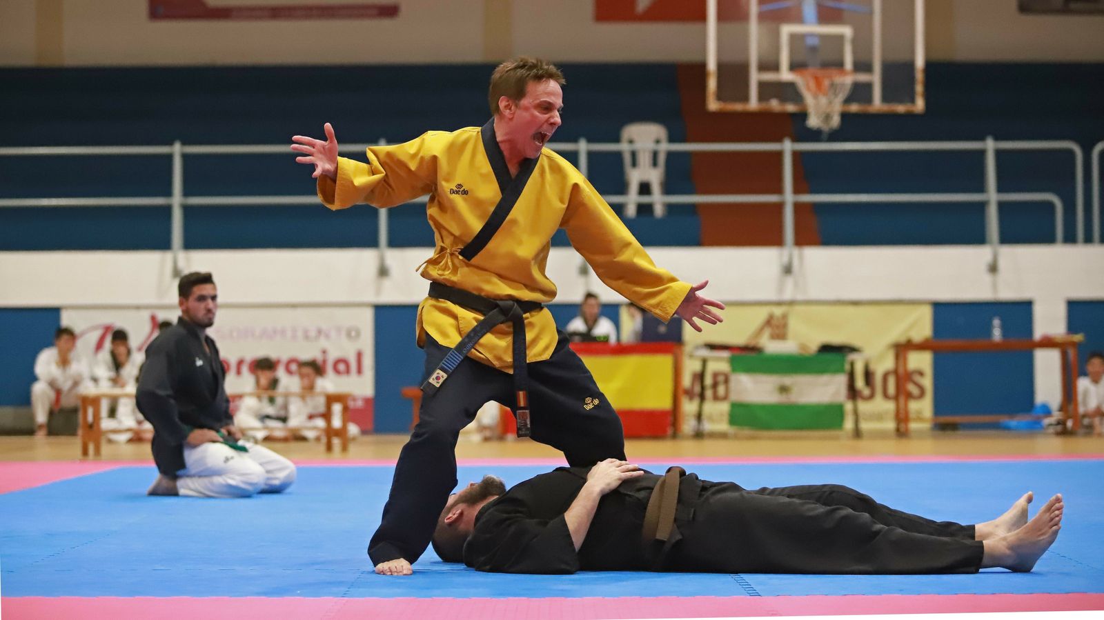 Las mejores fotos de la exhibición de Seul Gym en La Línea