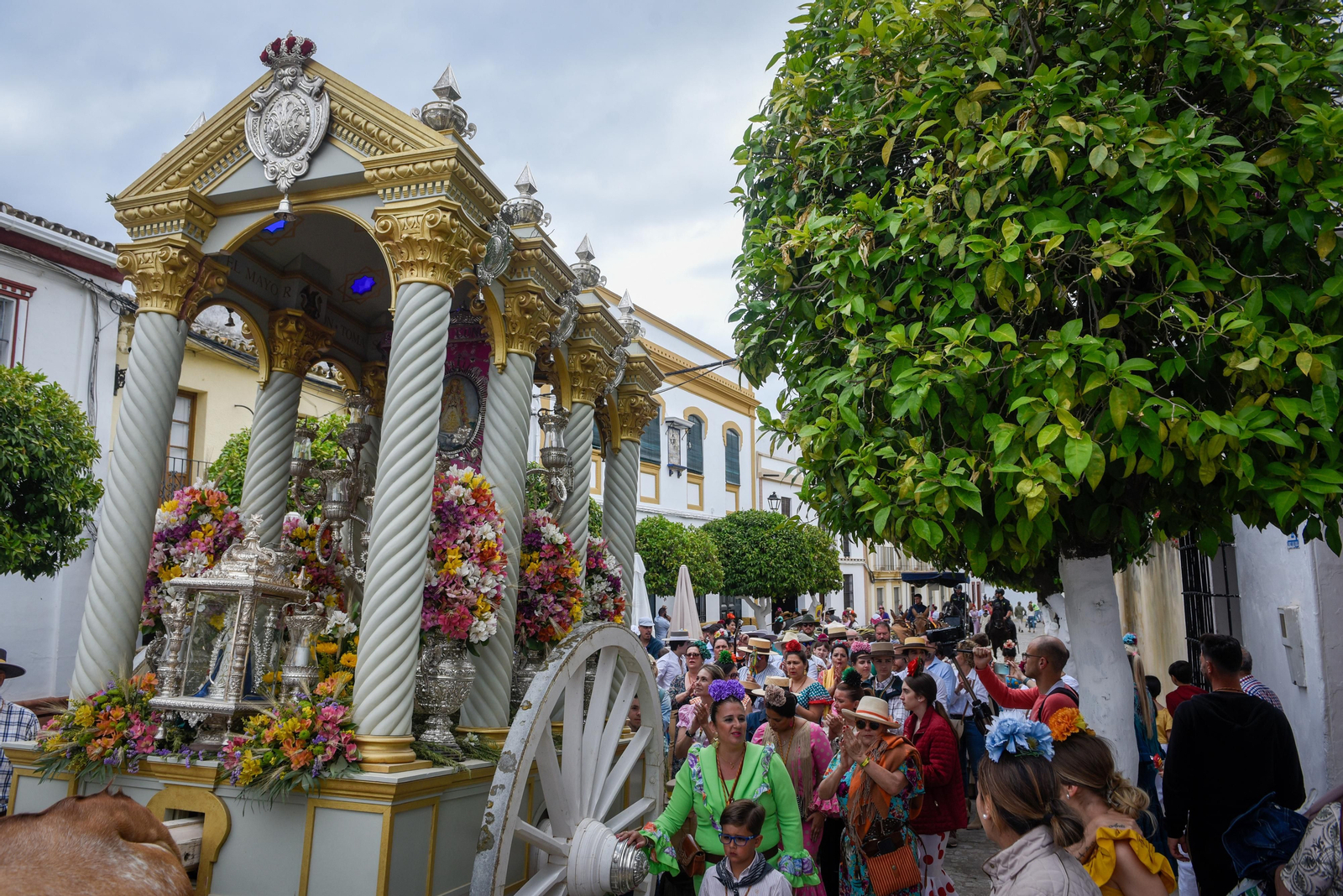 El paso de las Hermandades de El Rocío por Villamanrique, en imágenes