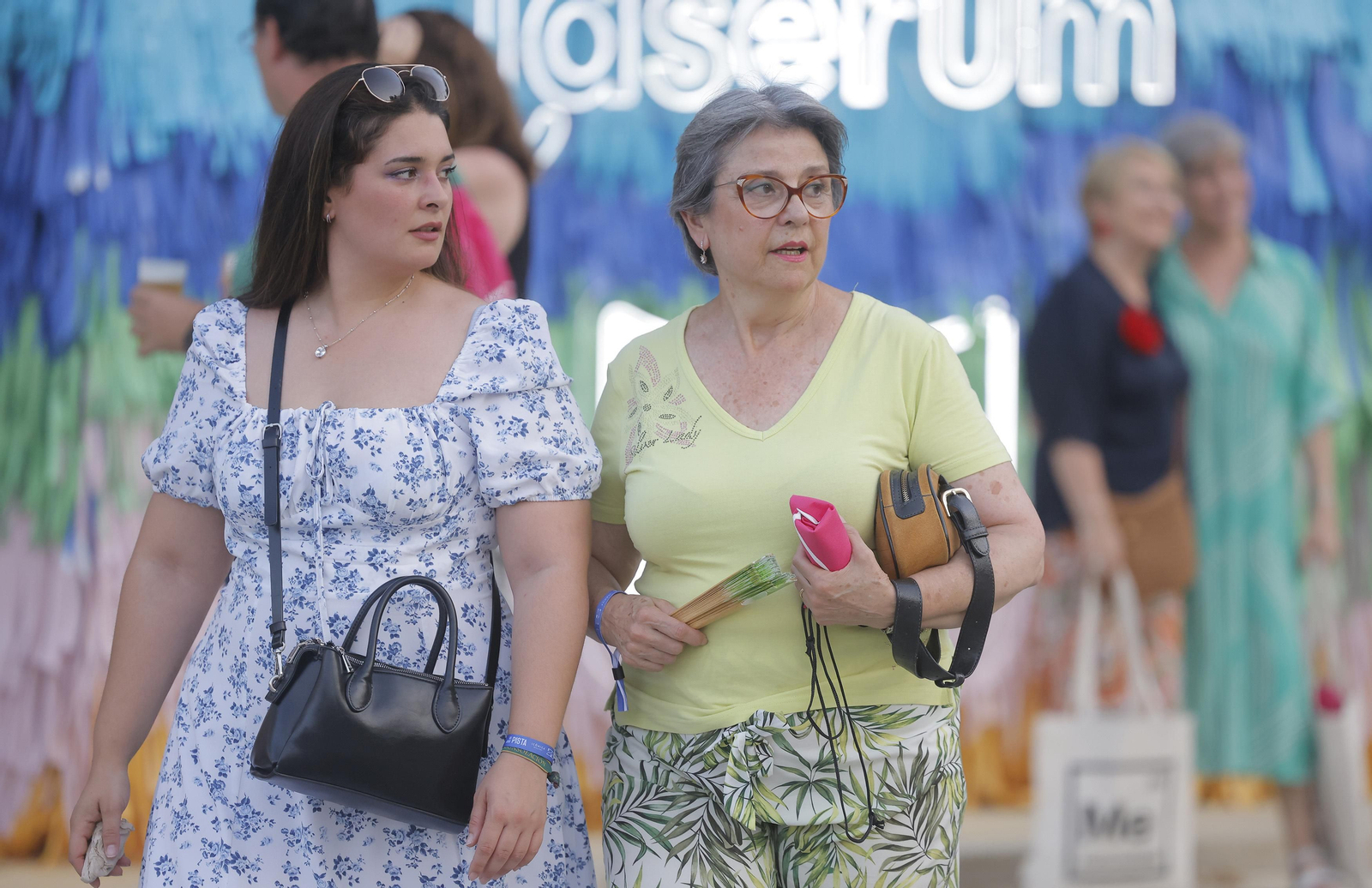 Búscate entre las fotos del concierto de Ana Torroja