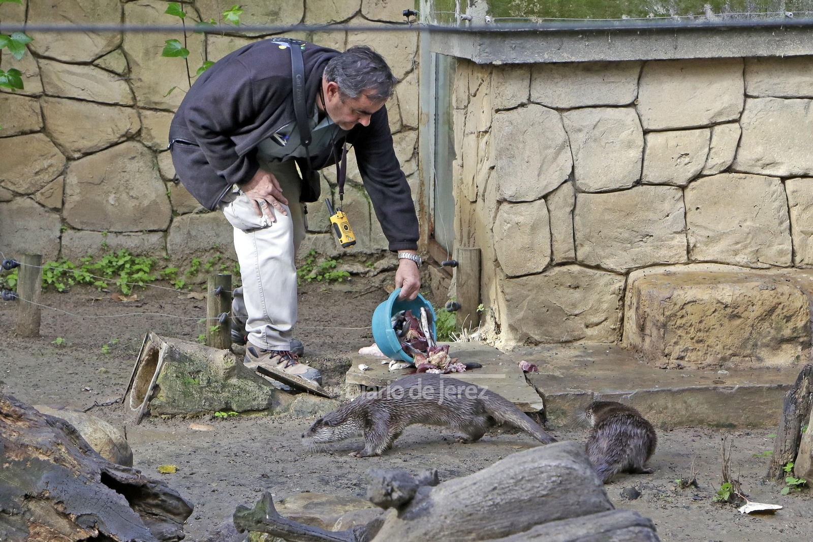 Reportaje de las Nutrias en el Zoo de Jerez