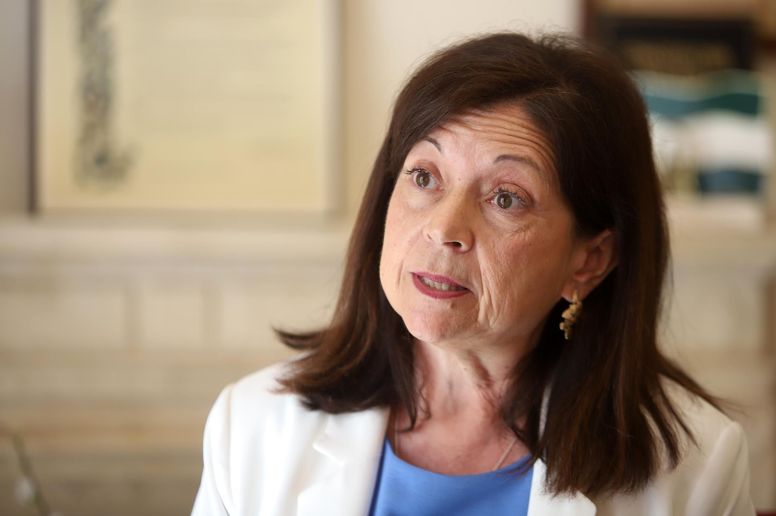 La presidenta del Colegio de Médicos de Huelva, Mercedes Ramblado.