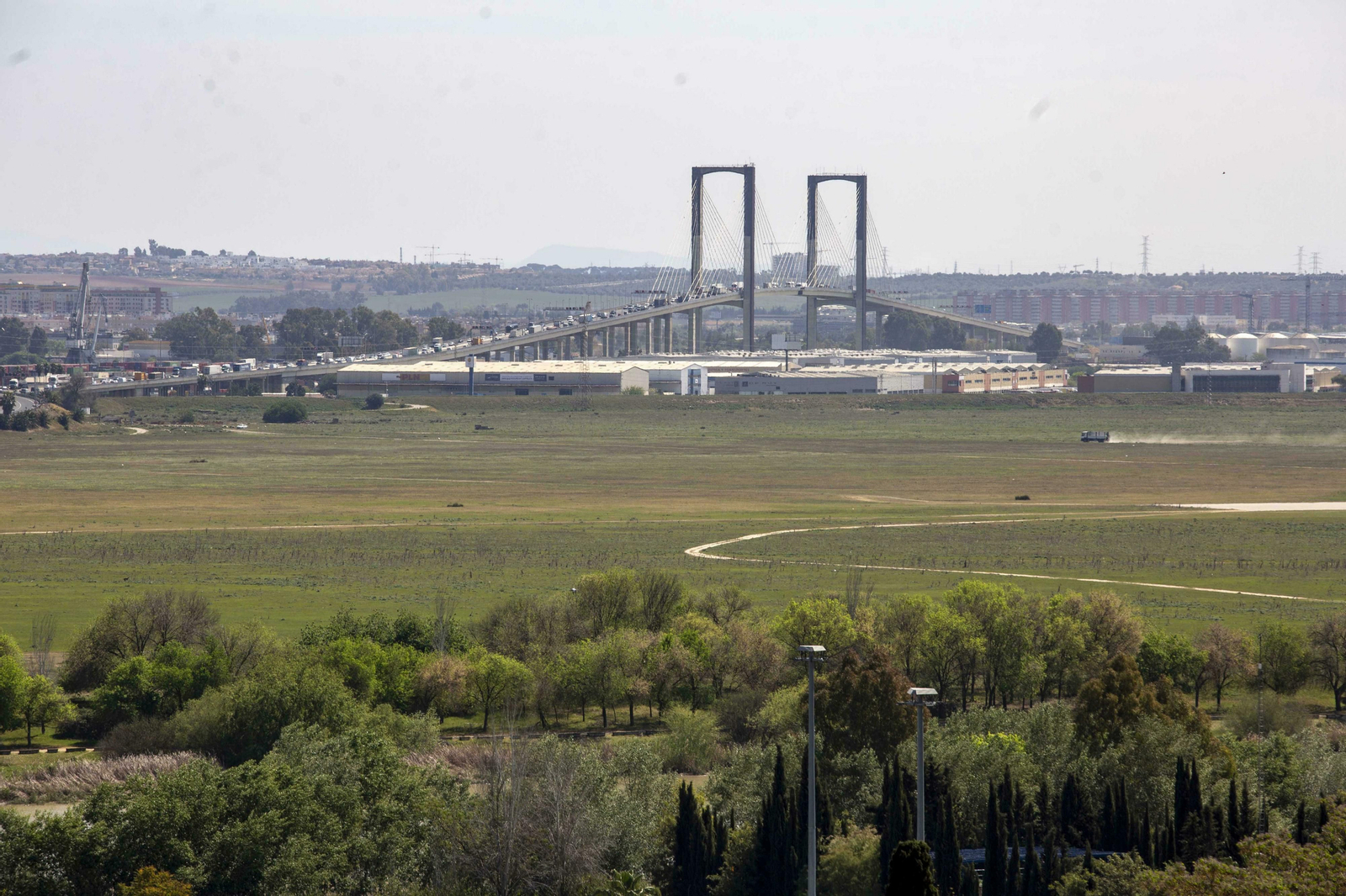 El papel del arbolado en Sevilla, clave para desafiar el cambio climático