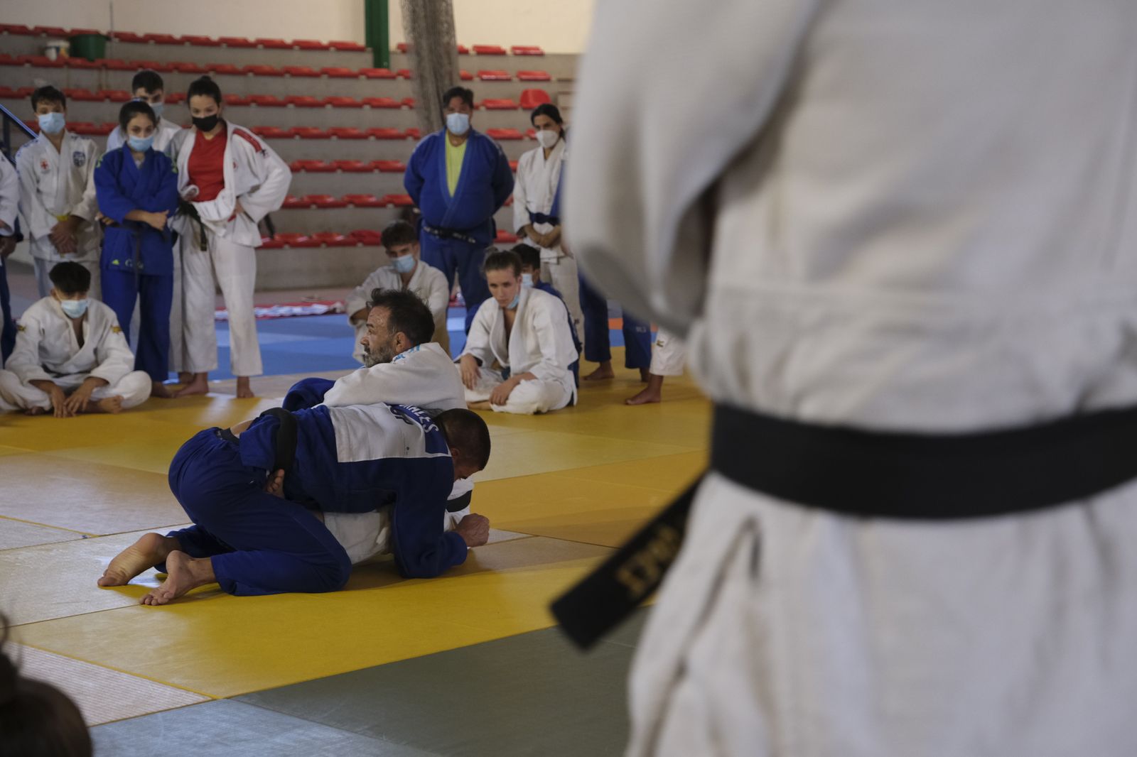 Fotogalería X Campus Internacional de Judo Ciudad de Almería