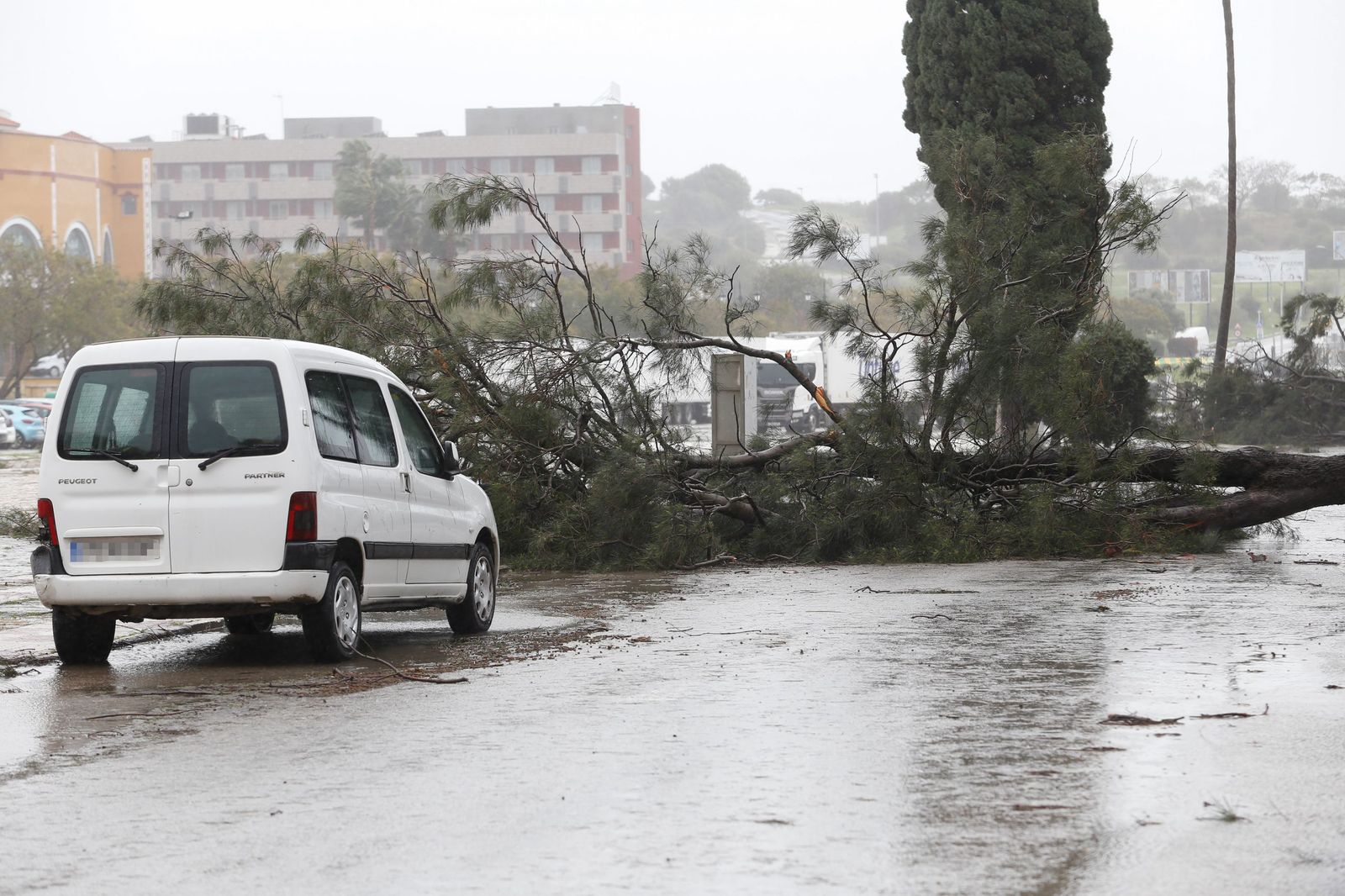 Fotos del temporal de lluvia y viento por la borrasca Kristin en el Campo de Gibraltar