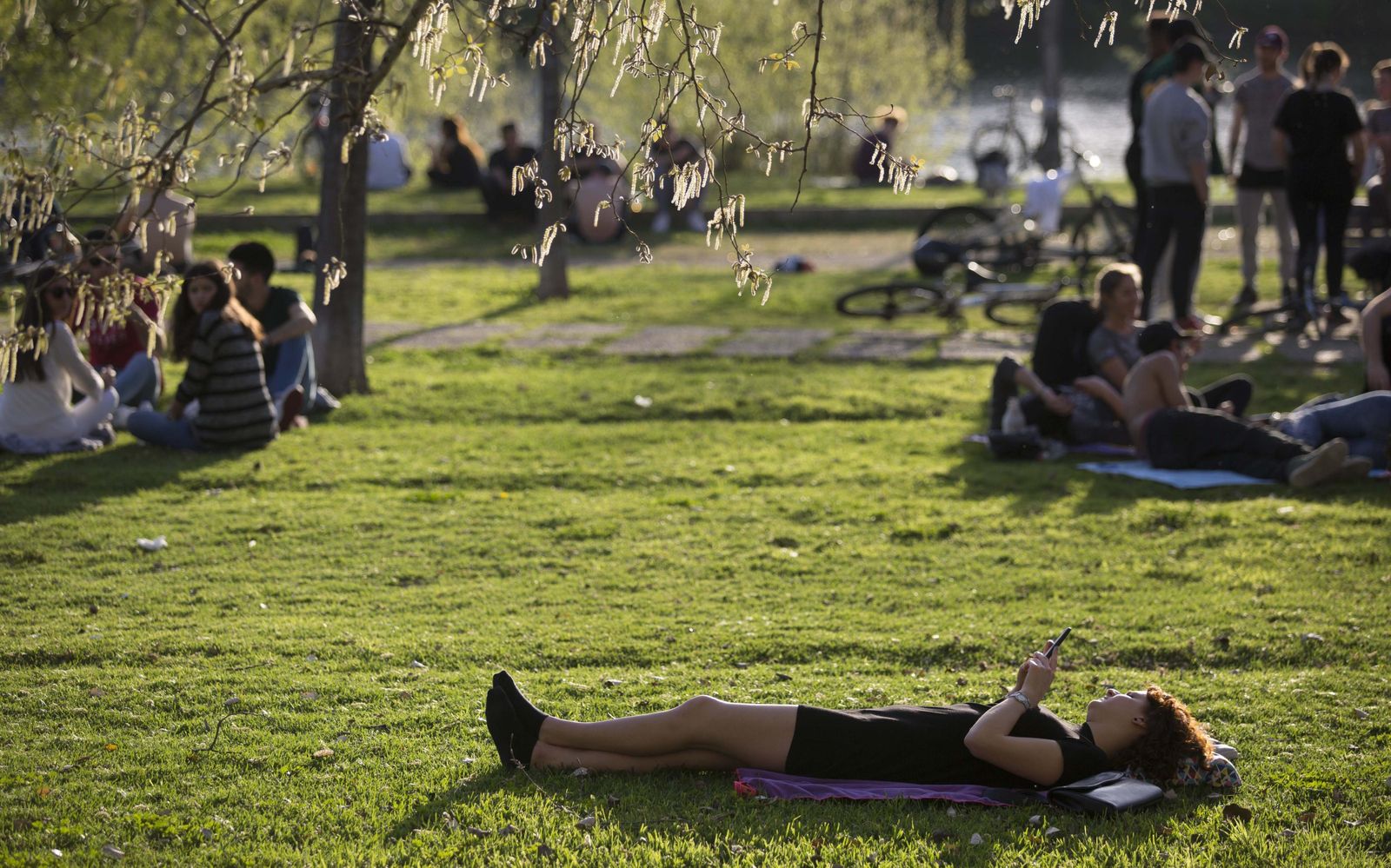 Varias personas disfrutan del sol y el buen tiempo en un parque sevillano.