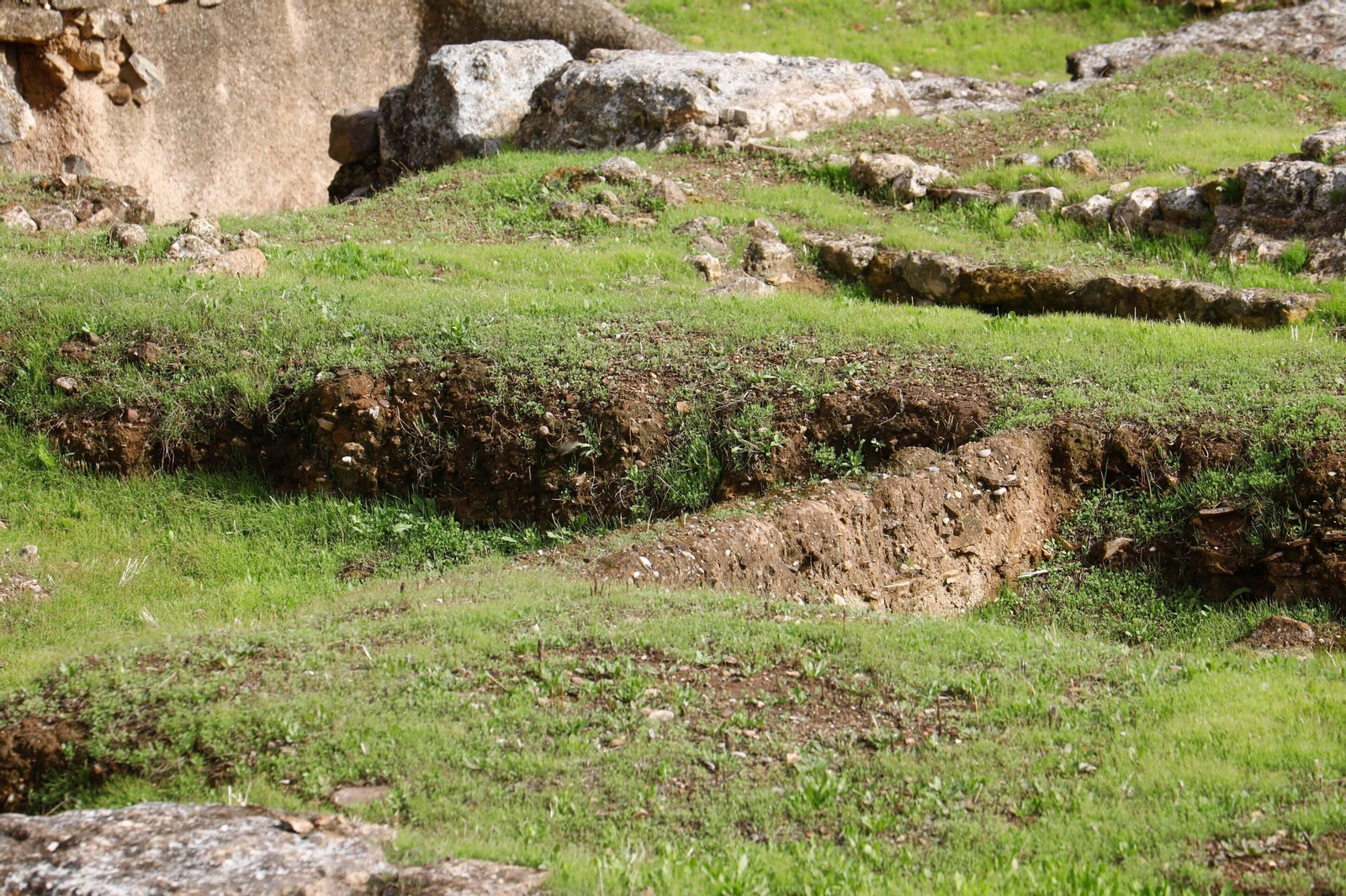 Las imágenes del estado del yacimiento de Cercadilla
