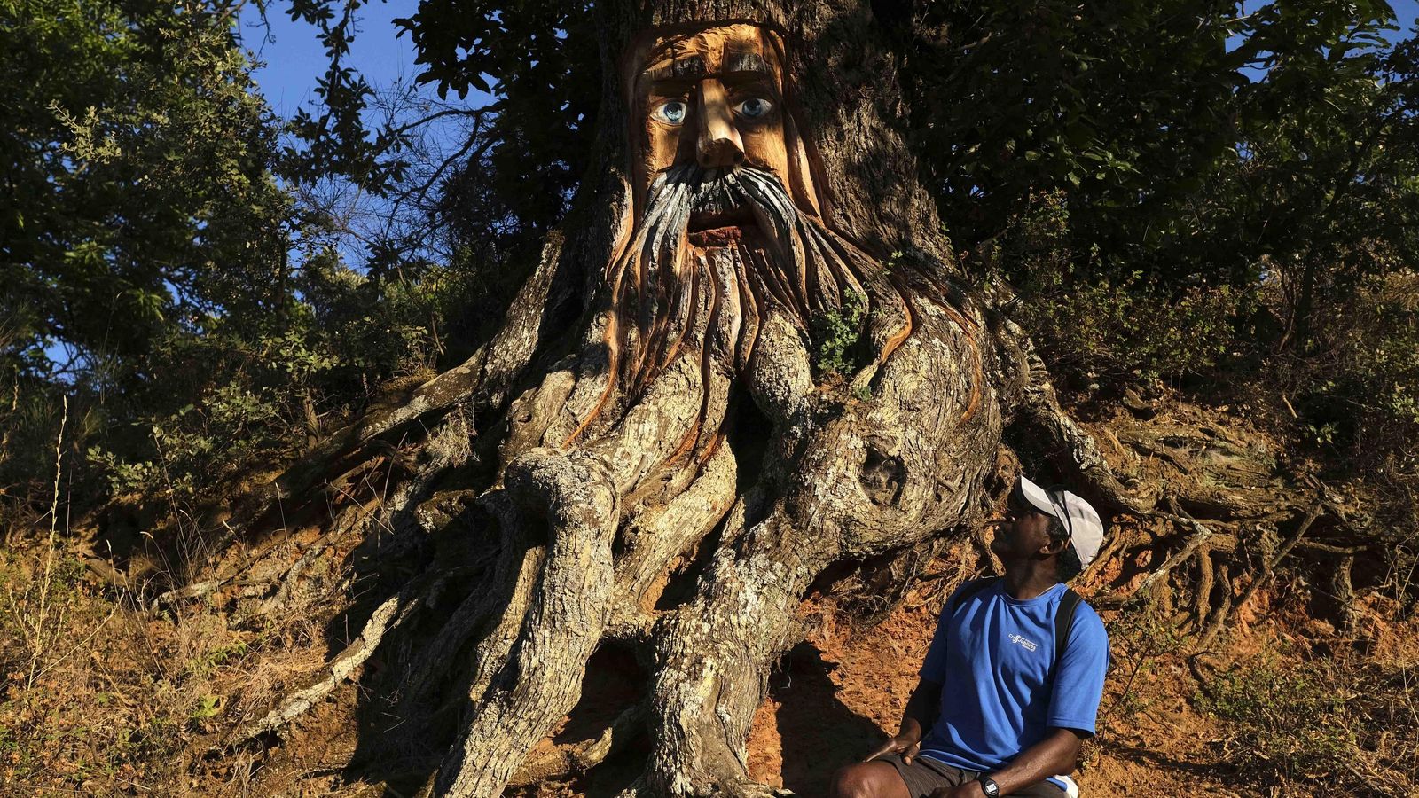 El 'Bosque encantado' de Parauta. El 'Bosque encantado' de Parauta.