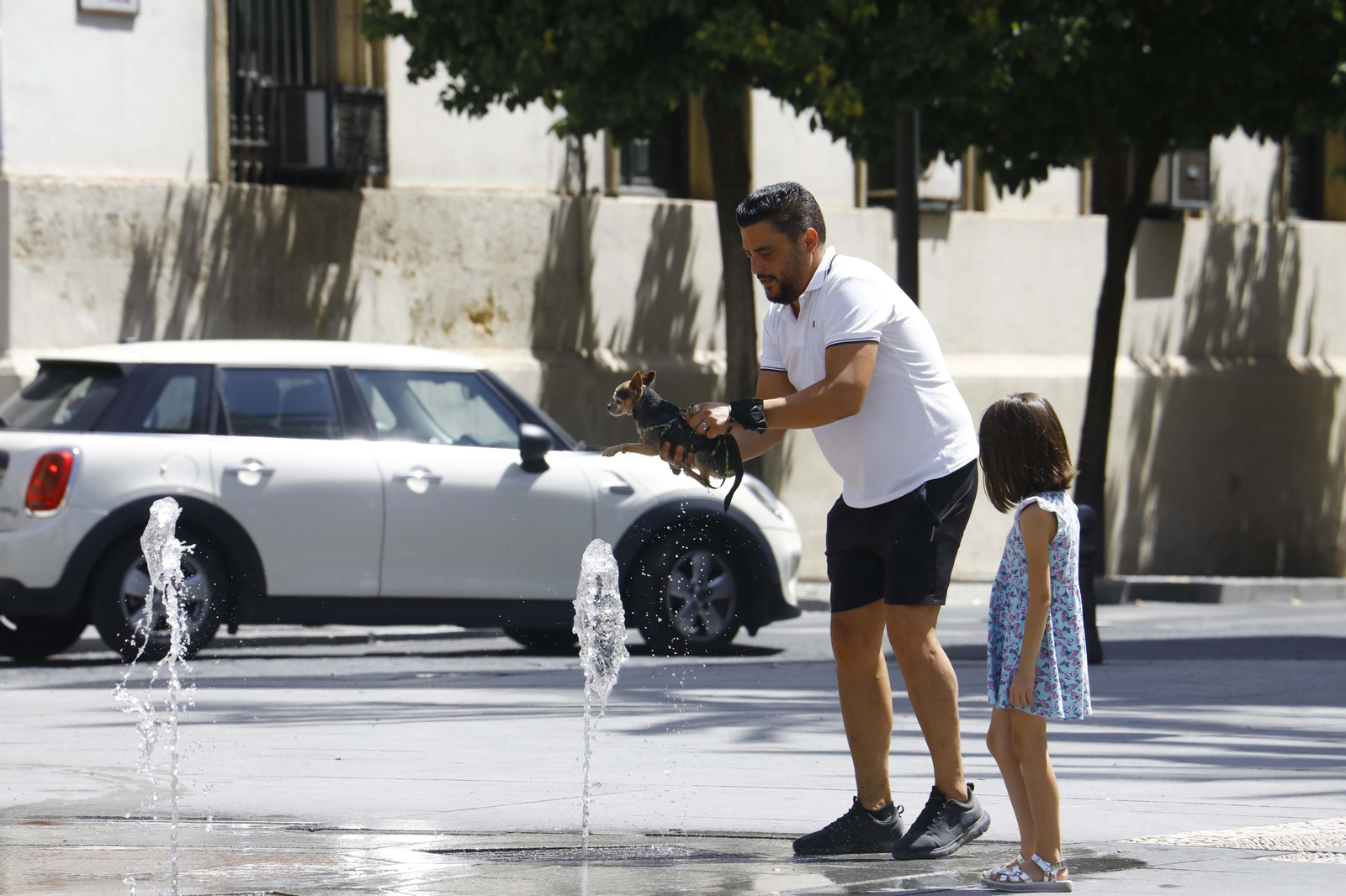 Una persona refresca a su mascota en Las Tendillas.