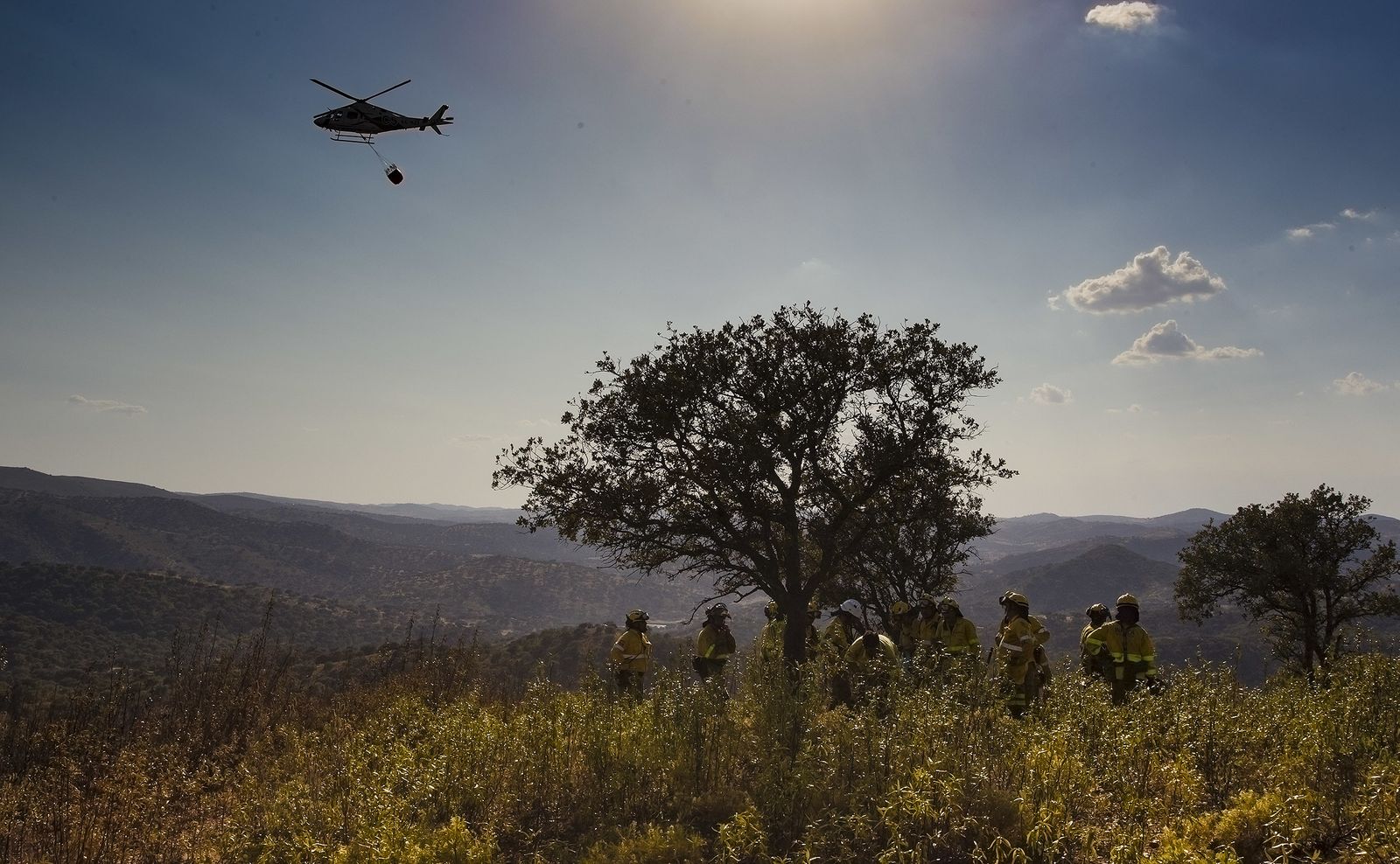 El incendio forestal de El Ronquillo, en imágenes