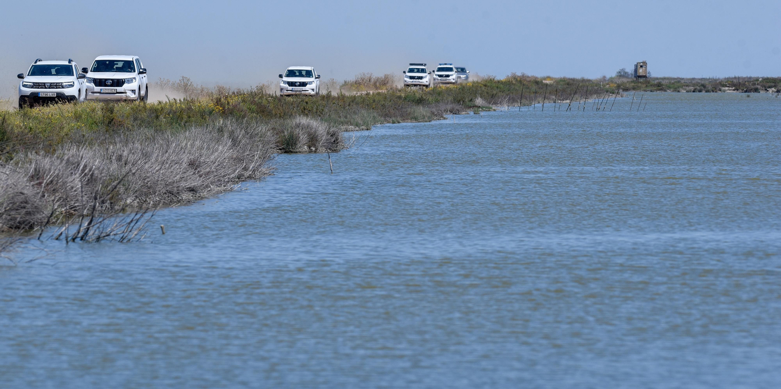 Imágenes de la finca Veta la Palma