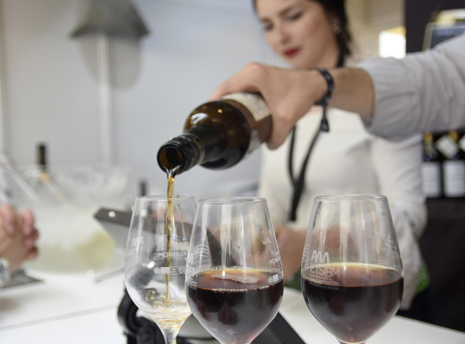 Cata de Vino Montilla-Moriles.