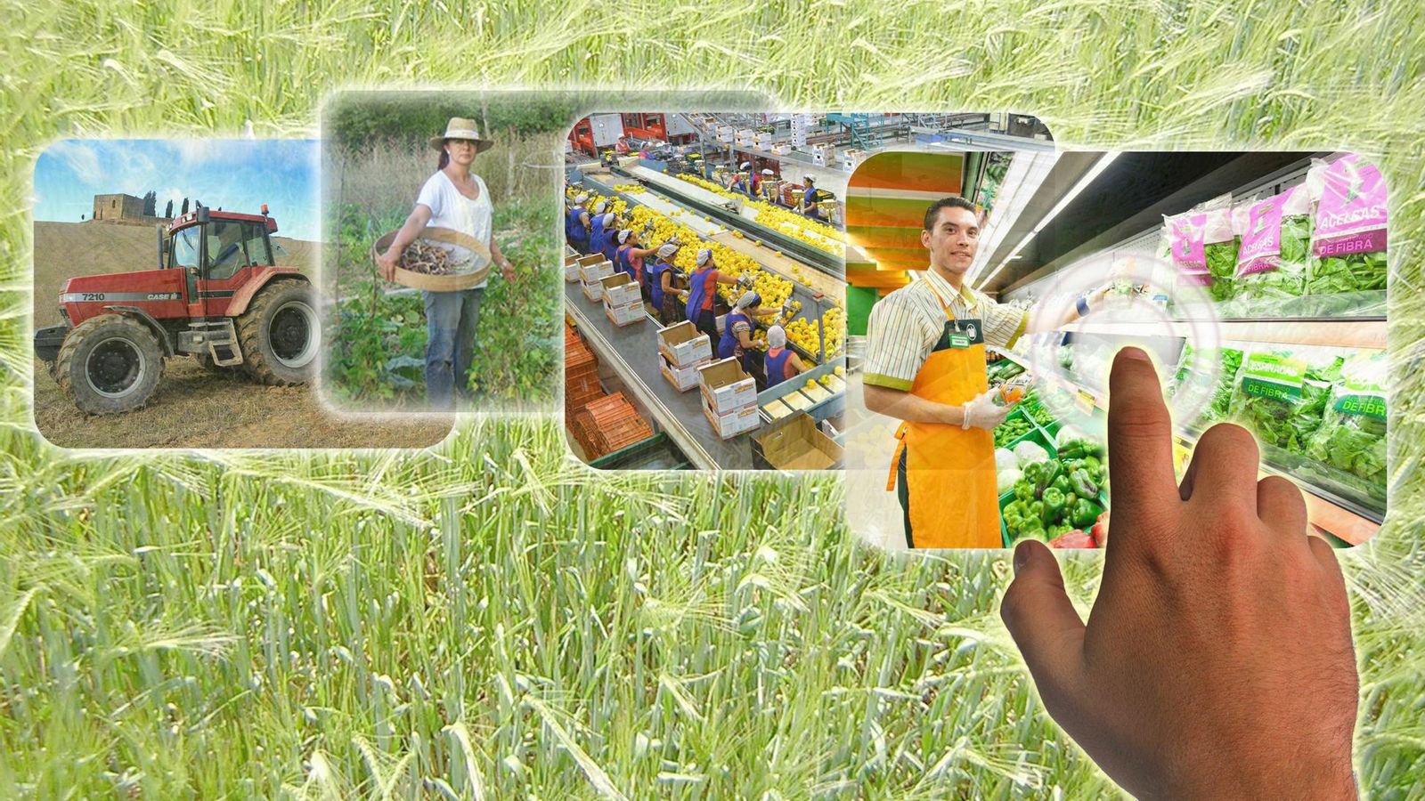 La innovación digital es un hecho en muchas explotaciones agroganaderas