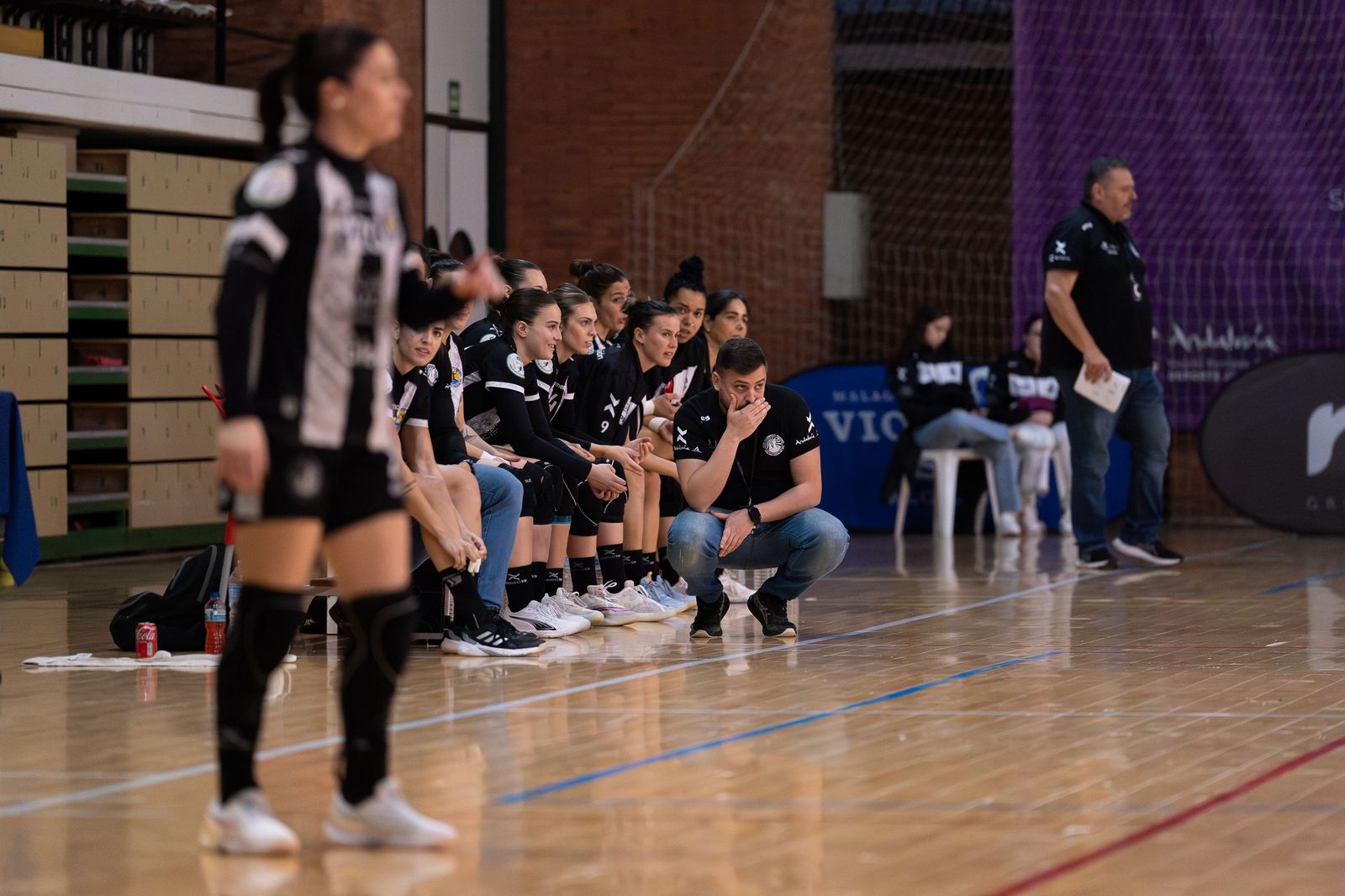 Costa del Sol-Rocasa, en fotos