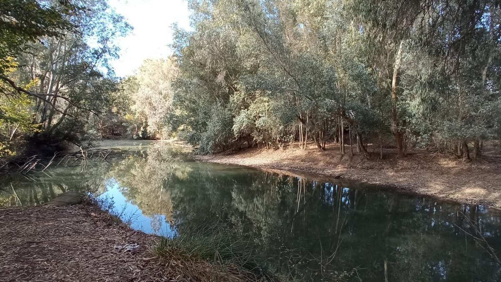 Ruta natural del Corredor Verde