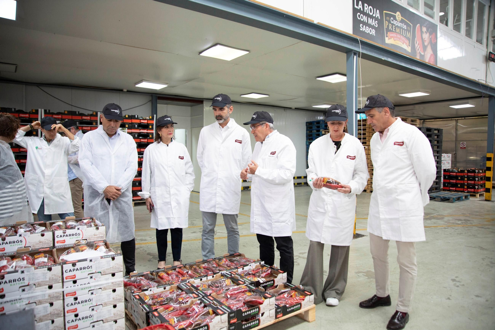 Vea cómo es el trabajo con las fantásticas sandías Premium en Grupo Caparrós