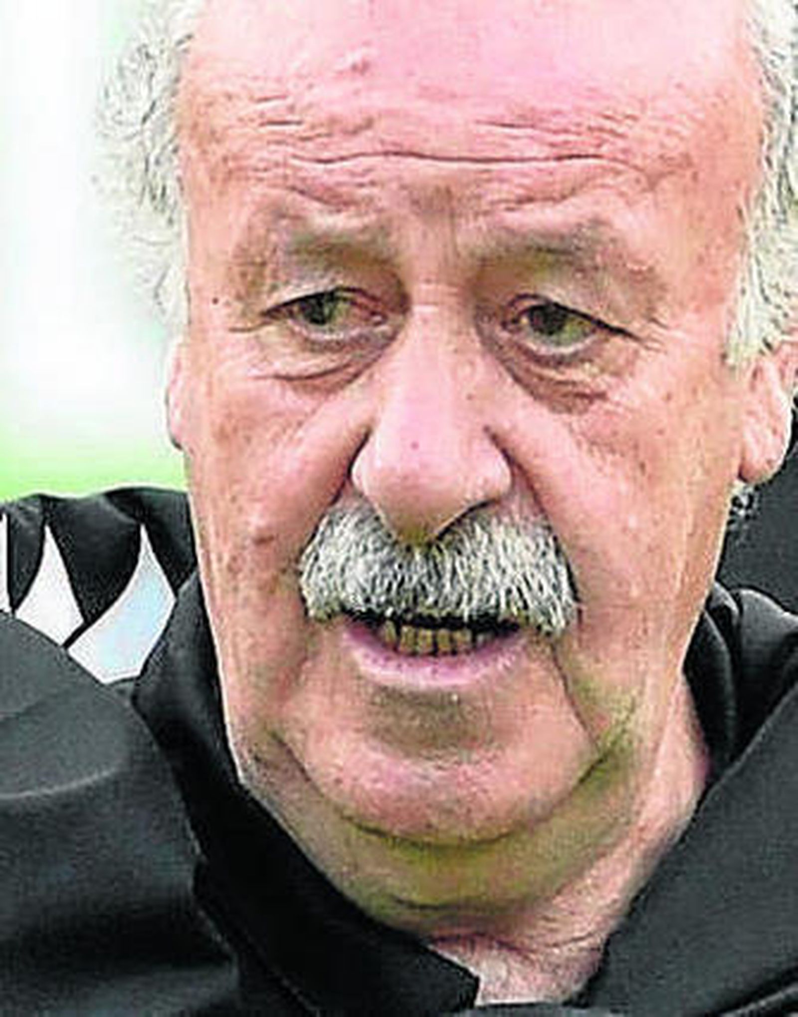 El seleccionador Vicente del Bosque.